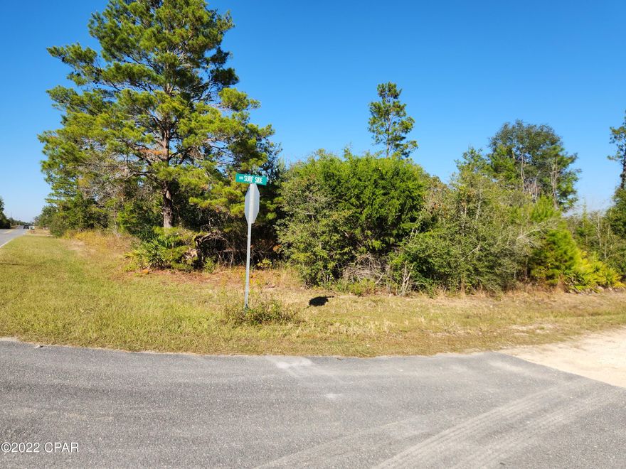 2 lots high and dry on corner being sold together for only $9,900.  Mobile homes allowed.