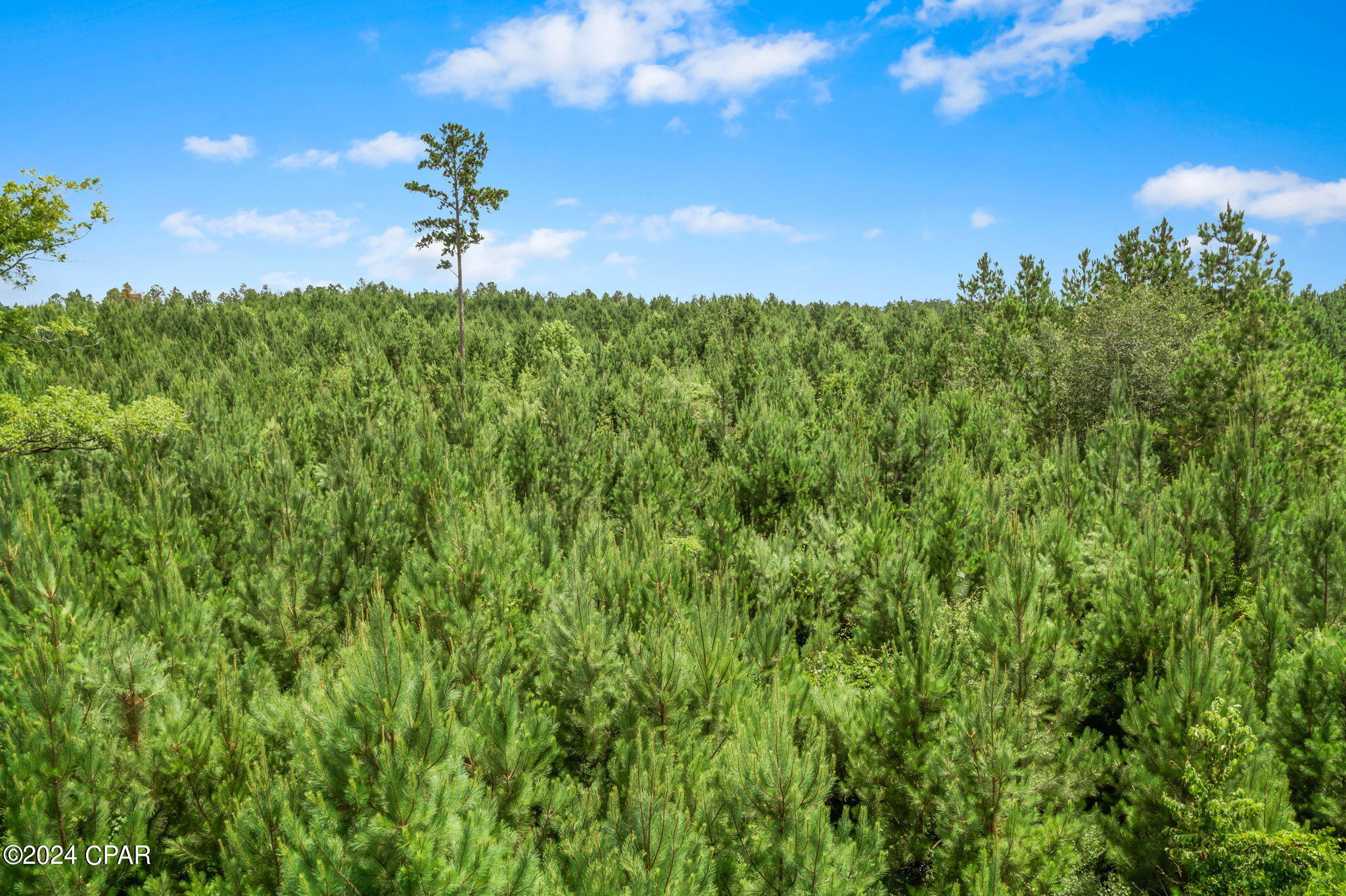 [No Recorded Subdiv] - Land