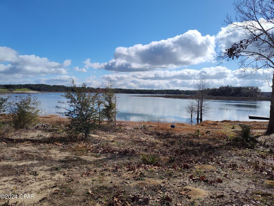 Beautiful wooded lakefront lot ready for your dream home to be built. Approx. 125 feet of white sandy bottom fresh water spring fed lake lot footage.  Electricity working, well 200ft down with clear water, septic needs to be serviced.  Arial photos coming soon.