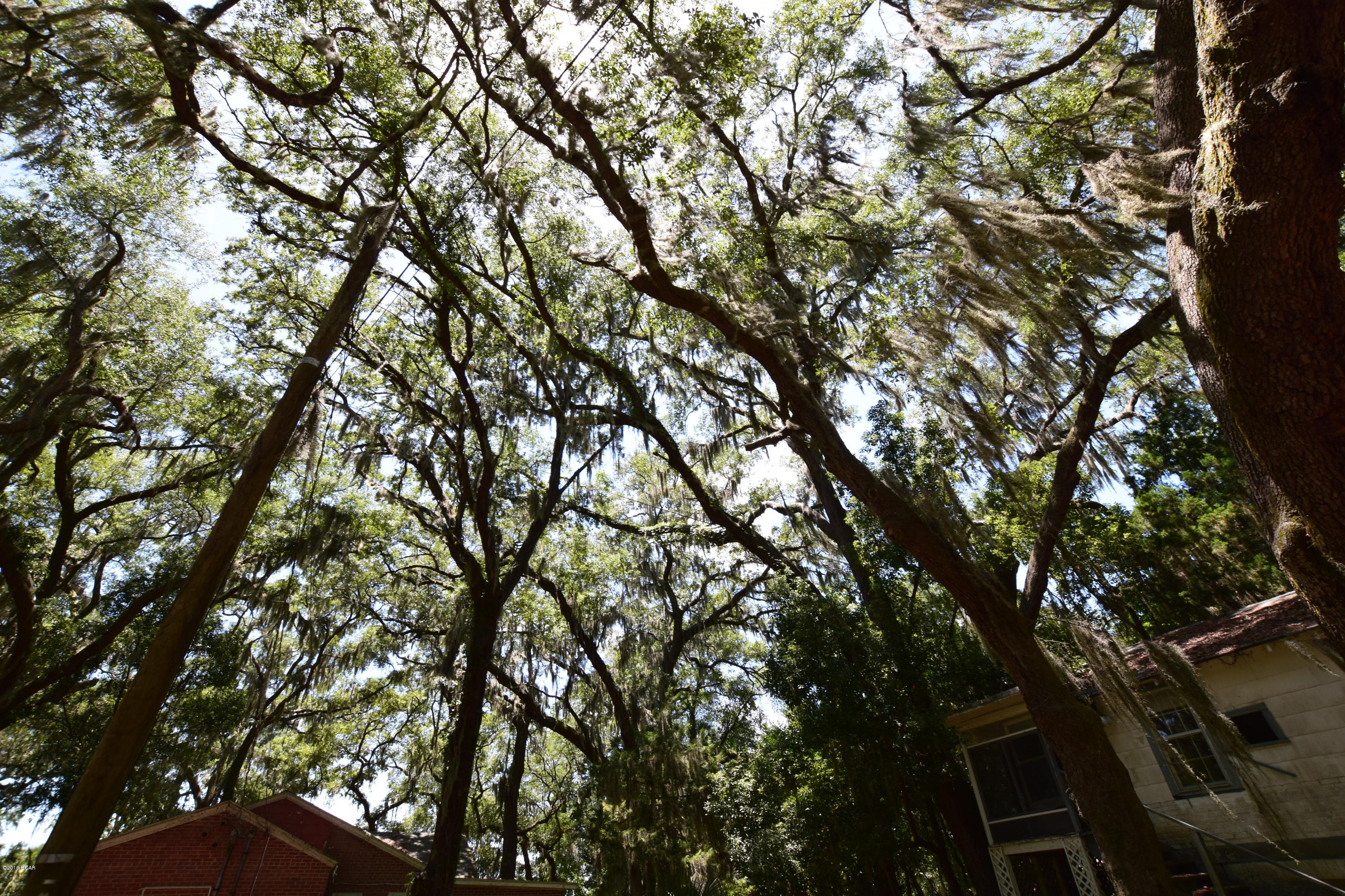 Horne Memory Plat - Residential