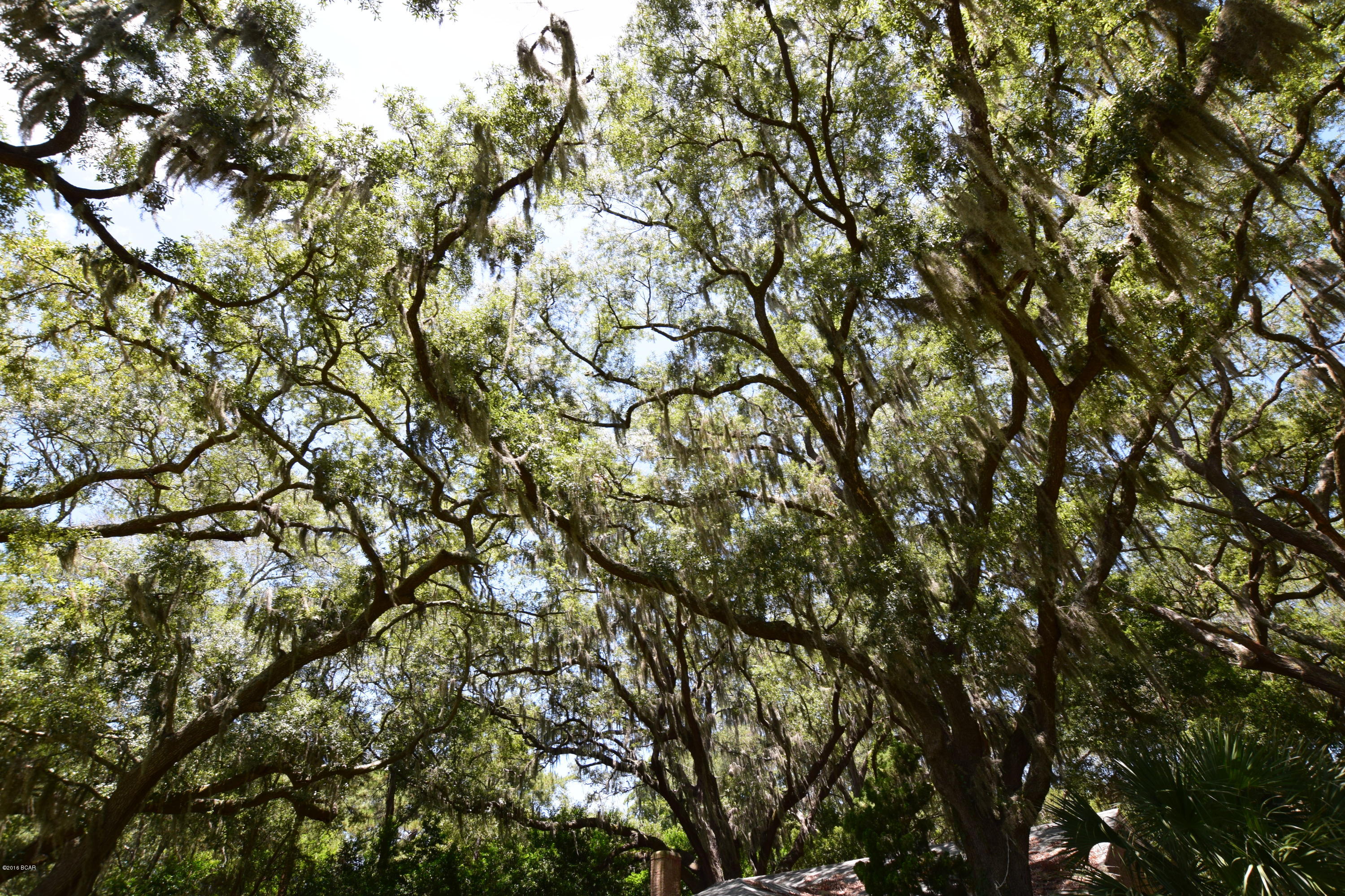 Horne Memory Plat - Residential