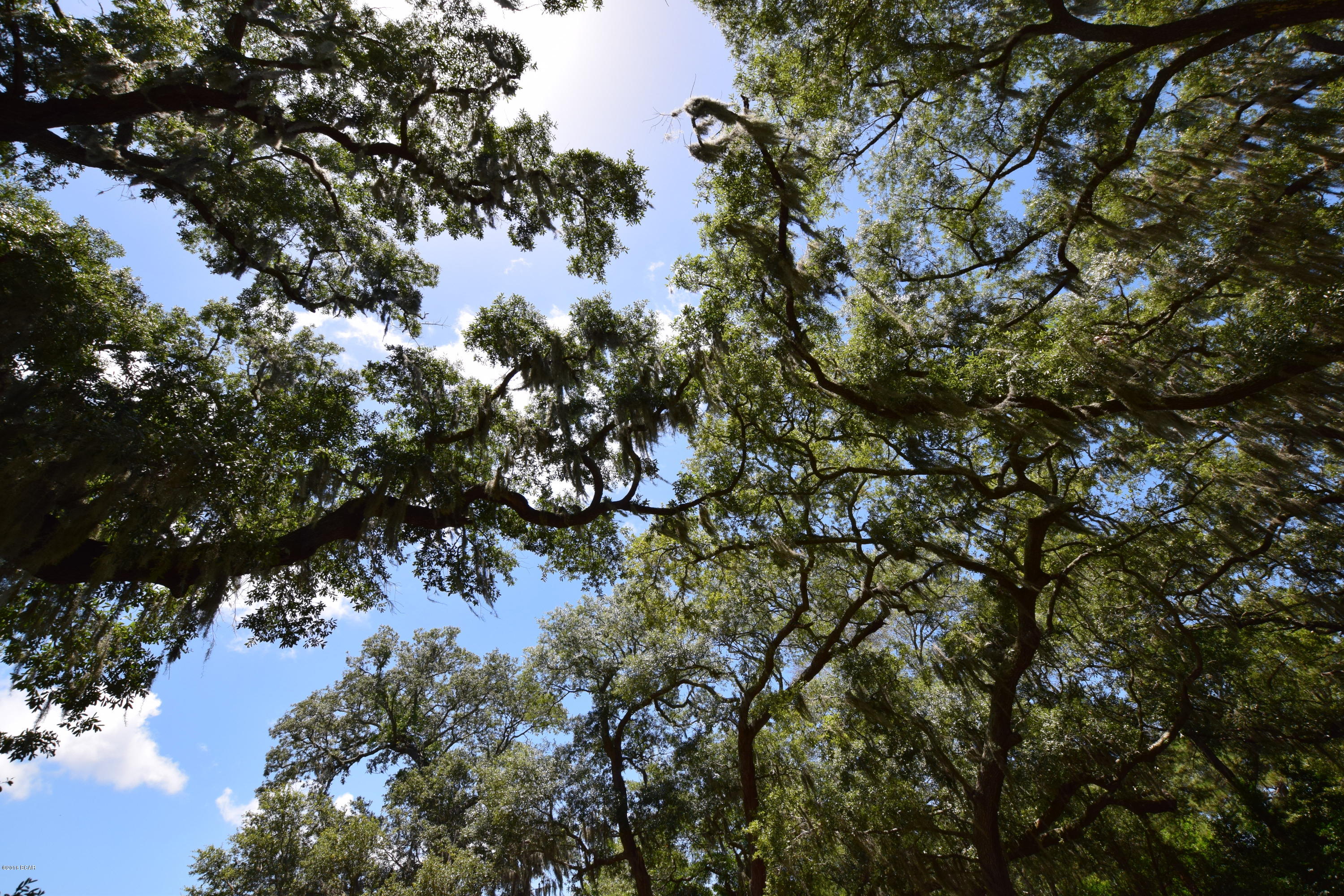 Horne Memory Plat - Residential