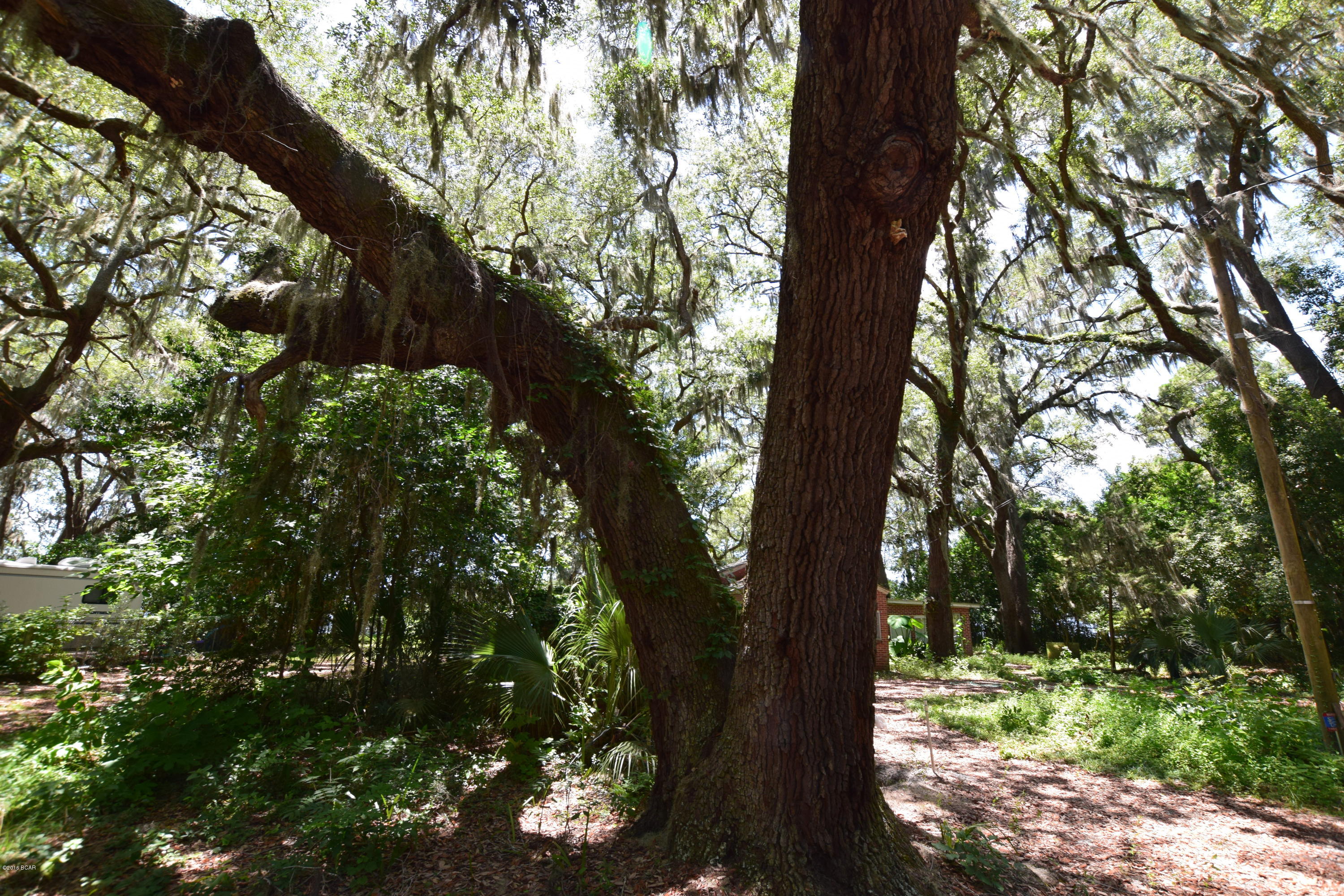 Horne Memory Plat - Residential