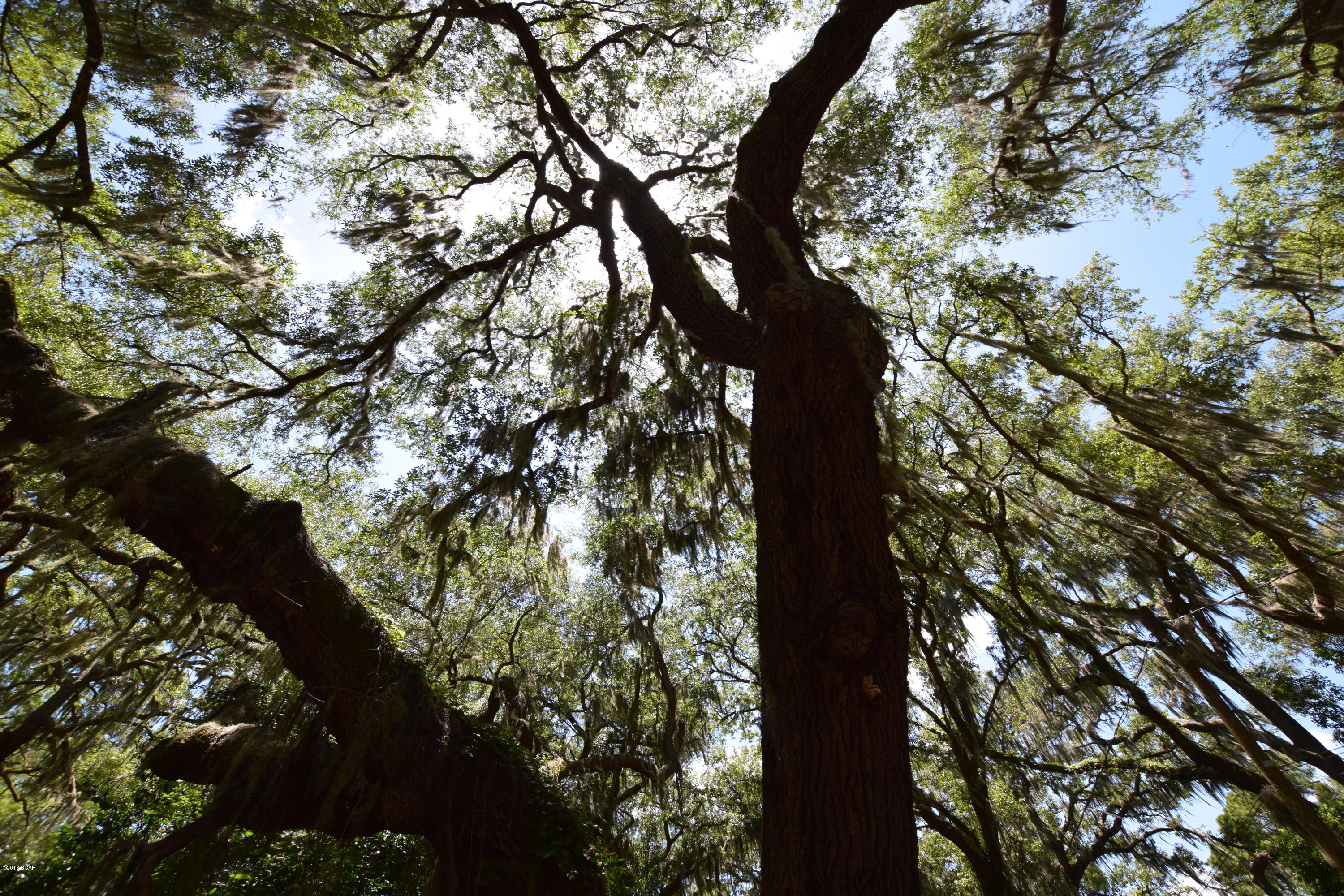 Horne Memory Plat - Residential