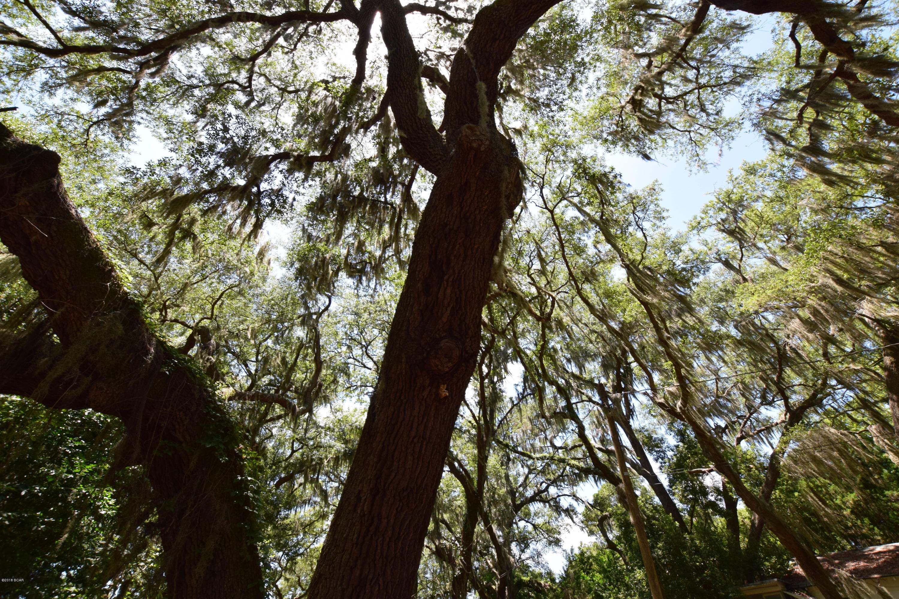 Horne Memory Plat - Residential