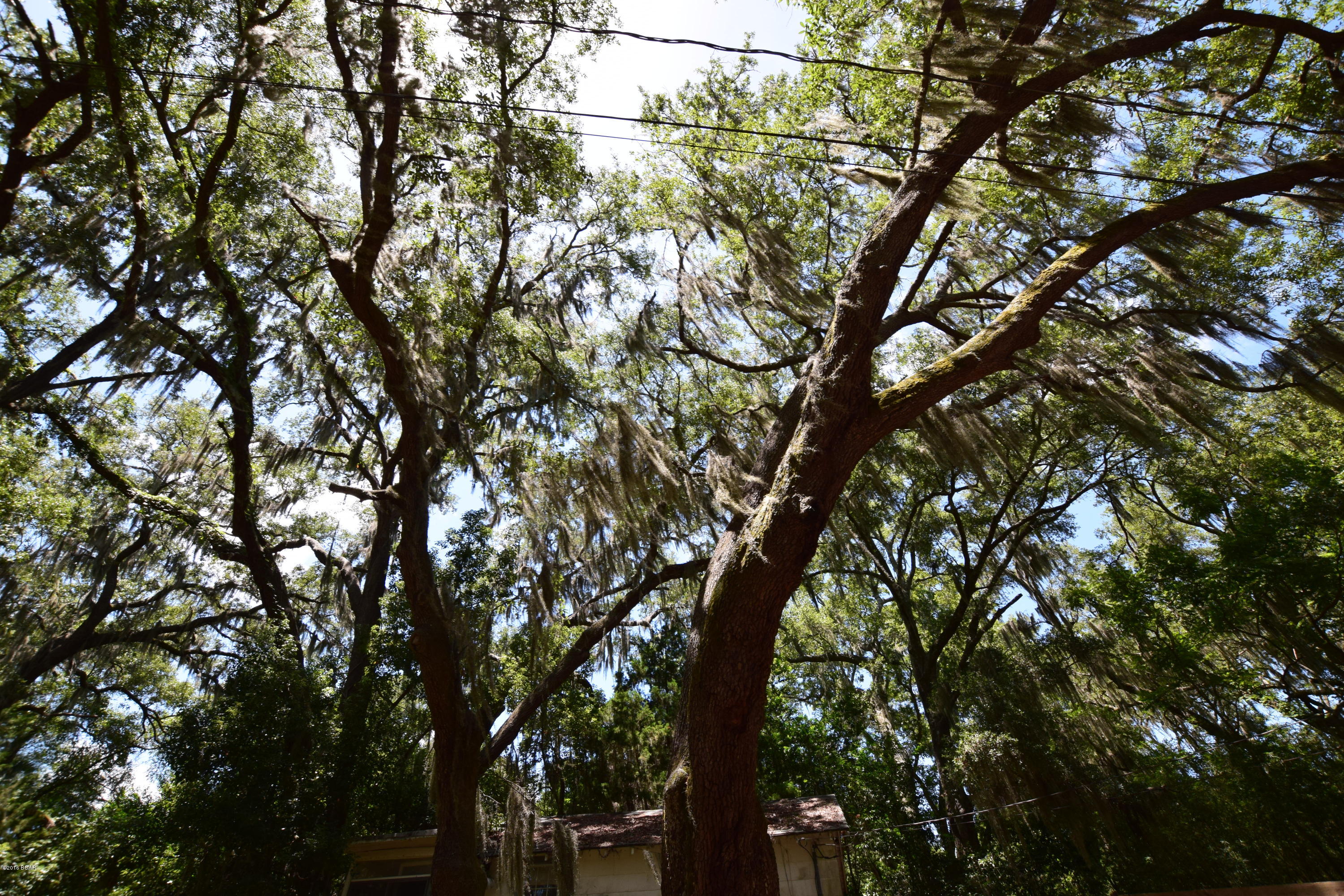 Horne Memory Plat - Residential