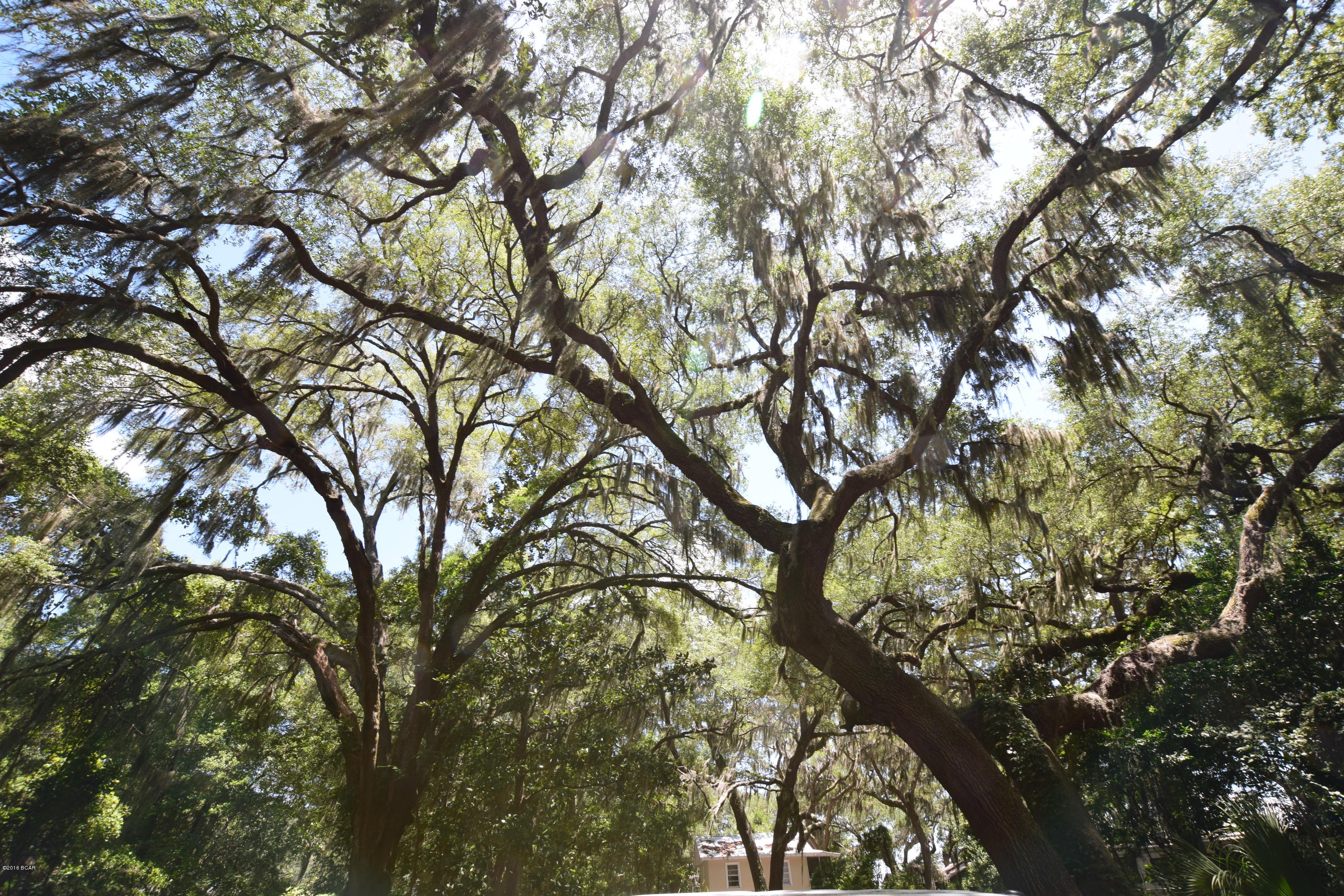 Horne Memory Plat - Residential