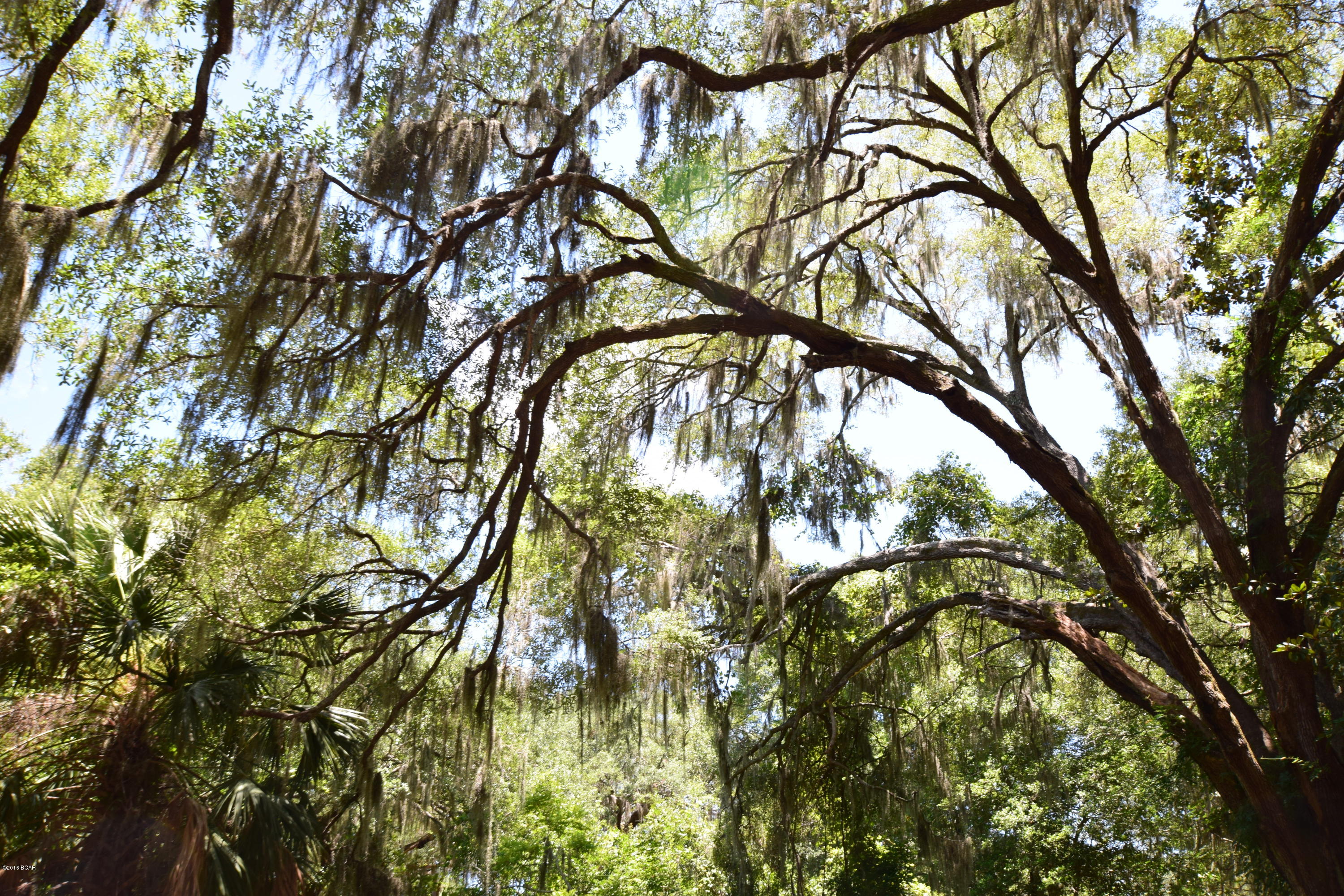 Horne Memory Plat - Residential