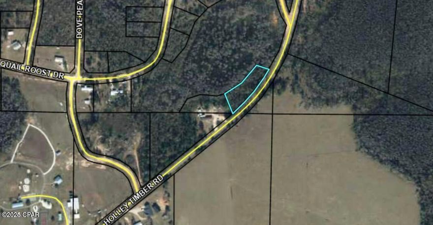 Don't miss this wooded .77 acret lot. All measurements are approximate and all information should be verified by buyer. Seller has not lived on property.