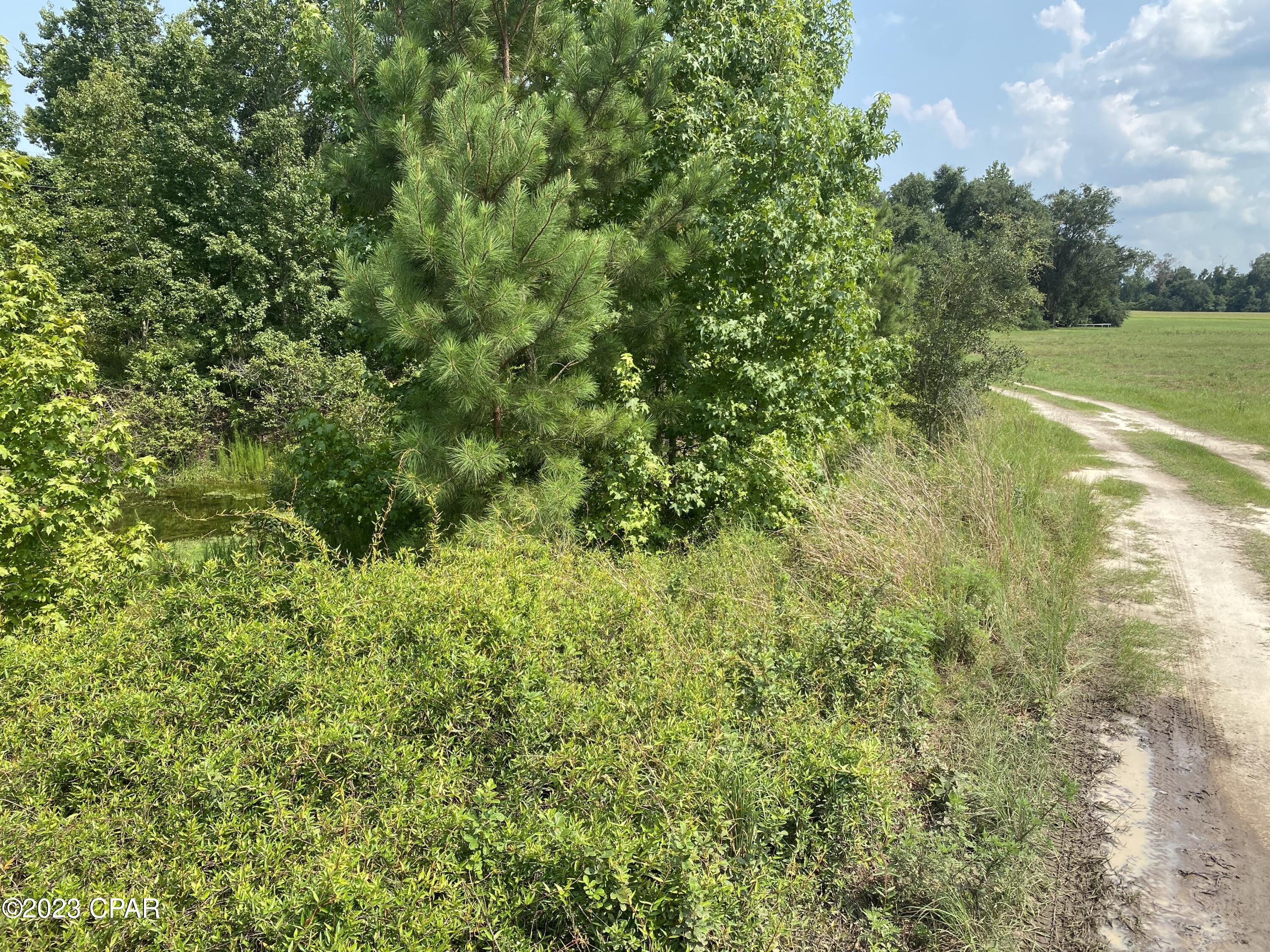 No Named Subdivision - Land