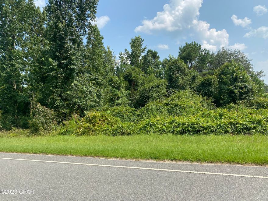 BEAUTIFUL HOMESITE!  This 4.2 acre parcel is mostly cleared and ready to build on.  This parcel was previously used as a hay field and contains a nice pond and partially wooded area.  A great place to build with room for horses.  Mobile homes allowed and on a paved road.  Enjoy lovely country living yet convenient to town.  Move quickly as this one will not last long!