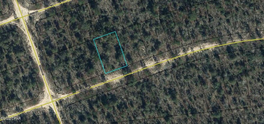 Great building lot in Sunnyhills! Perfect place for a site built home. Only a few miles off Hwy 77. Buy to build or purchase for investment.  Sunnyhills is growing by leaps and bounds! Located 35 minutes from Panama City, shopping, dining, and the beaches of Panama City Beach. All measurements are approximate, verify if important.
