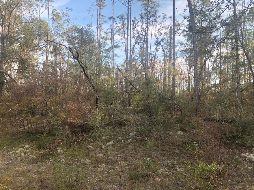 Nice lot on the North side of Compass Lake in the Hills Subdivision.  If privacy is what you long for then this is your lot.  Quiet and fool of wildlife tracks everywhere.  Lots of deer tracks.  Nature is where this lot sits.  Buyer to pay closing cost.  Nice trees on the lot.