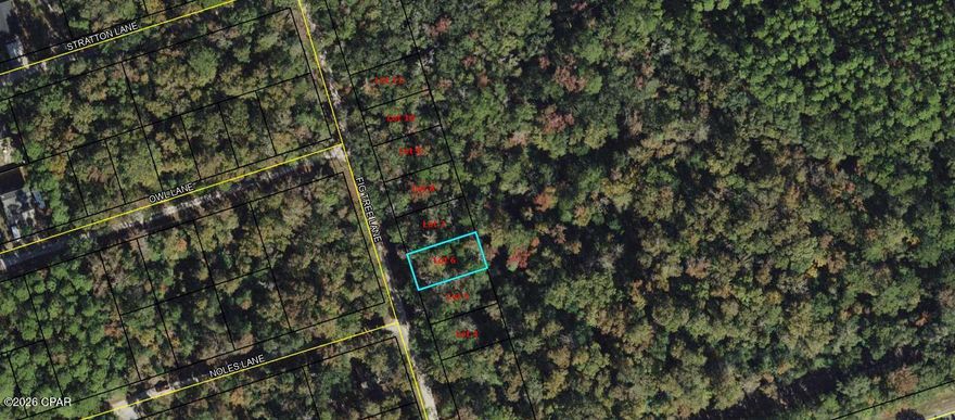 Vacant lot available on Fig Tree Ln in Crawfordville. Great opportunity for builders or investors in a growing area. Convenient and peaceful location just a short drive to the coast. Note: This listing is for one lot. A total of eight adjoining lots are available for purchase.

Buyer to verify all measurements, lot dimensions, and any information deemed important.