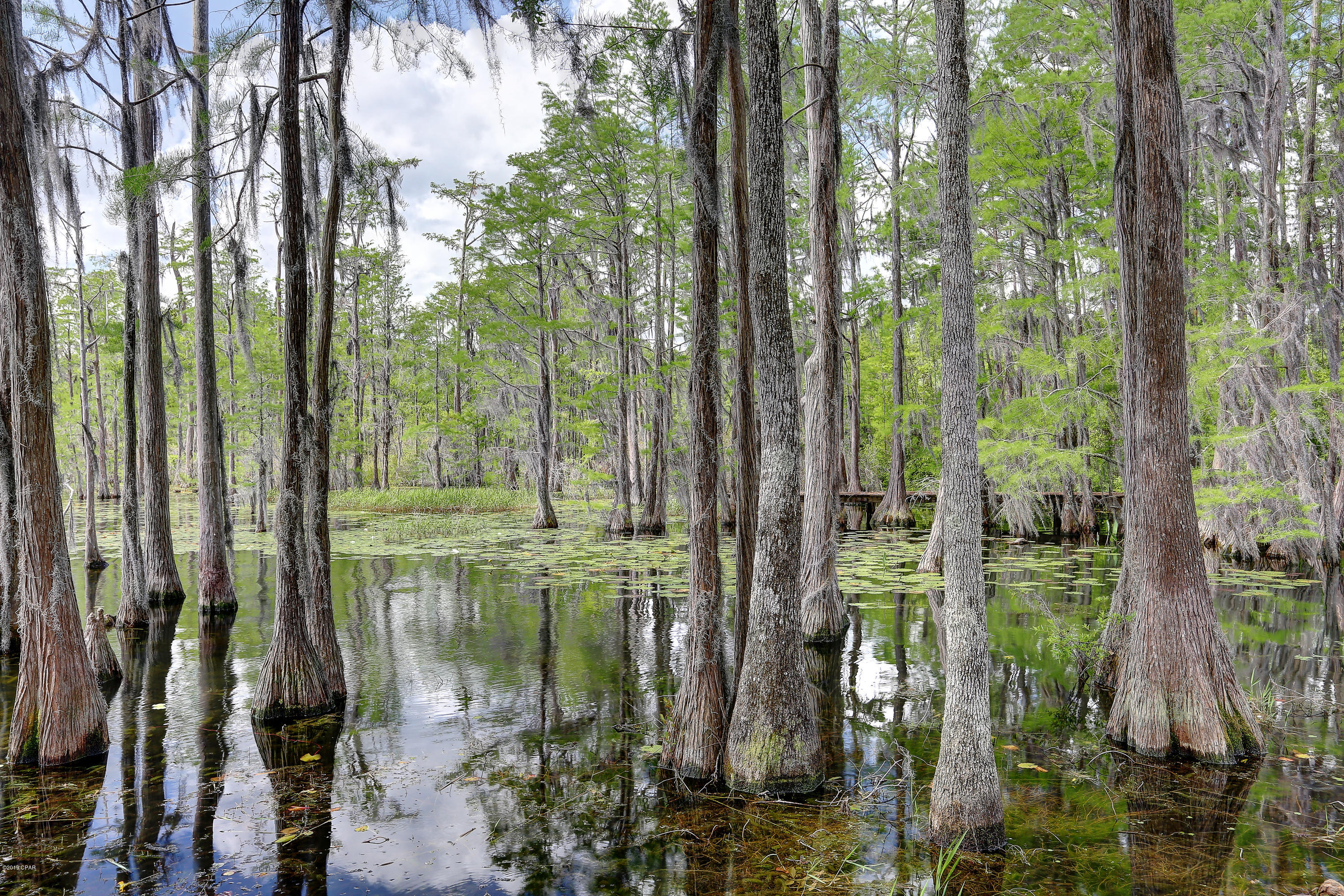 Sunny Hills - Residential