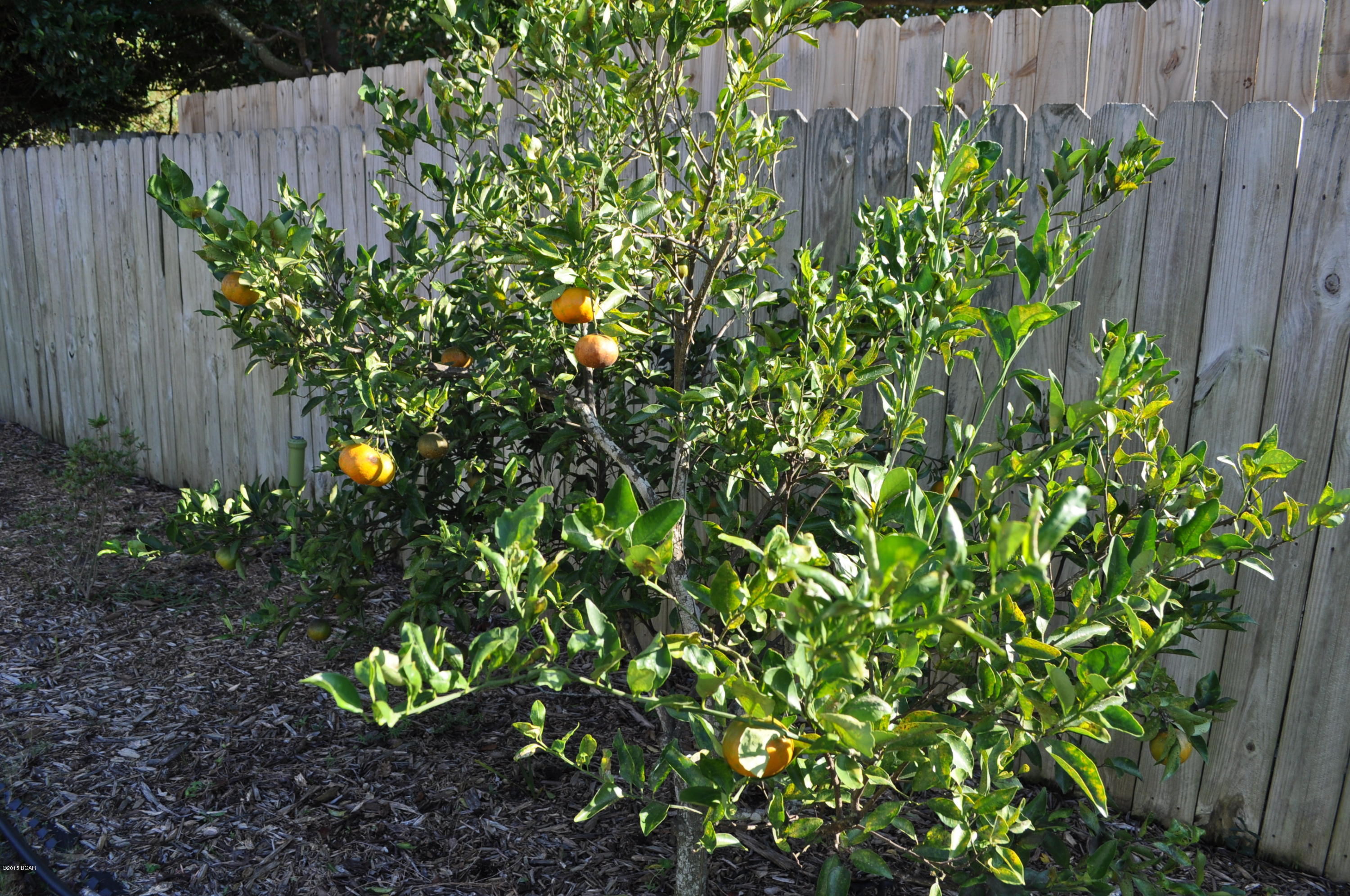 Summerwood Phase I - Residential