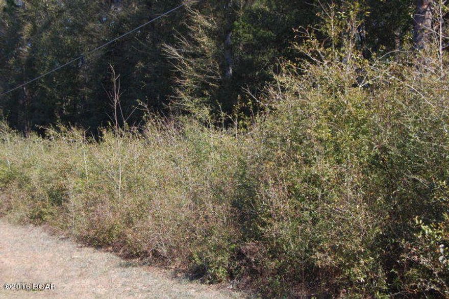 Very nice 1 plus acre lightly wooded corner lot. Great price! Take a look! Corner of Lakepoint and Montyna.