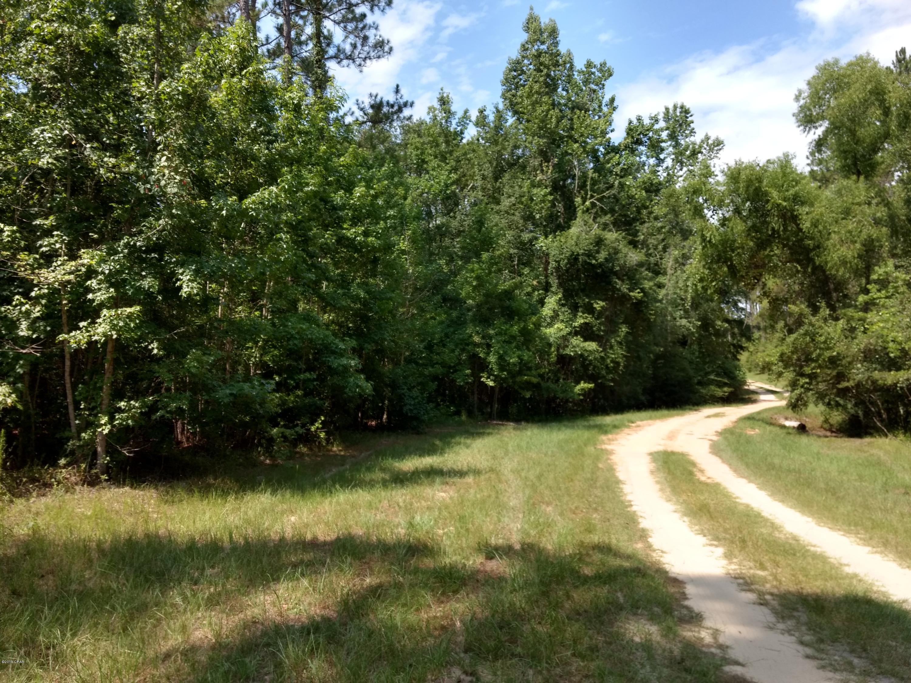 Canopy Crossing - Land