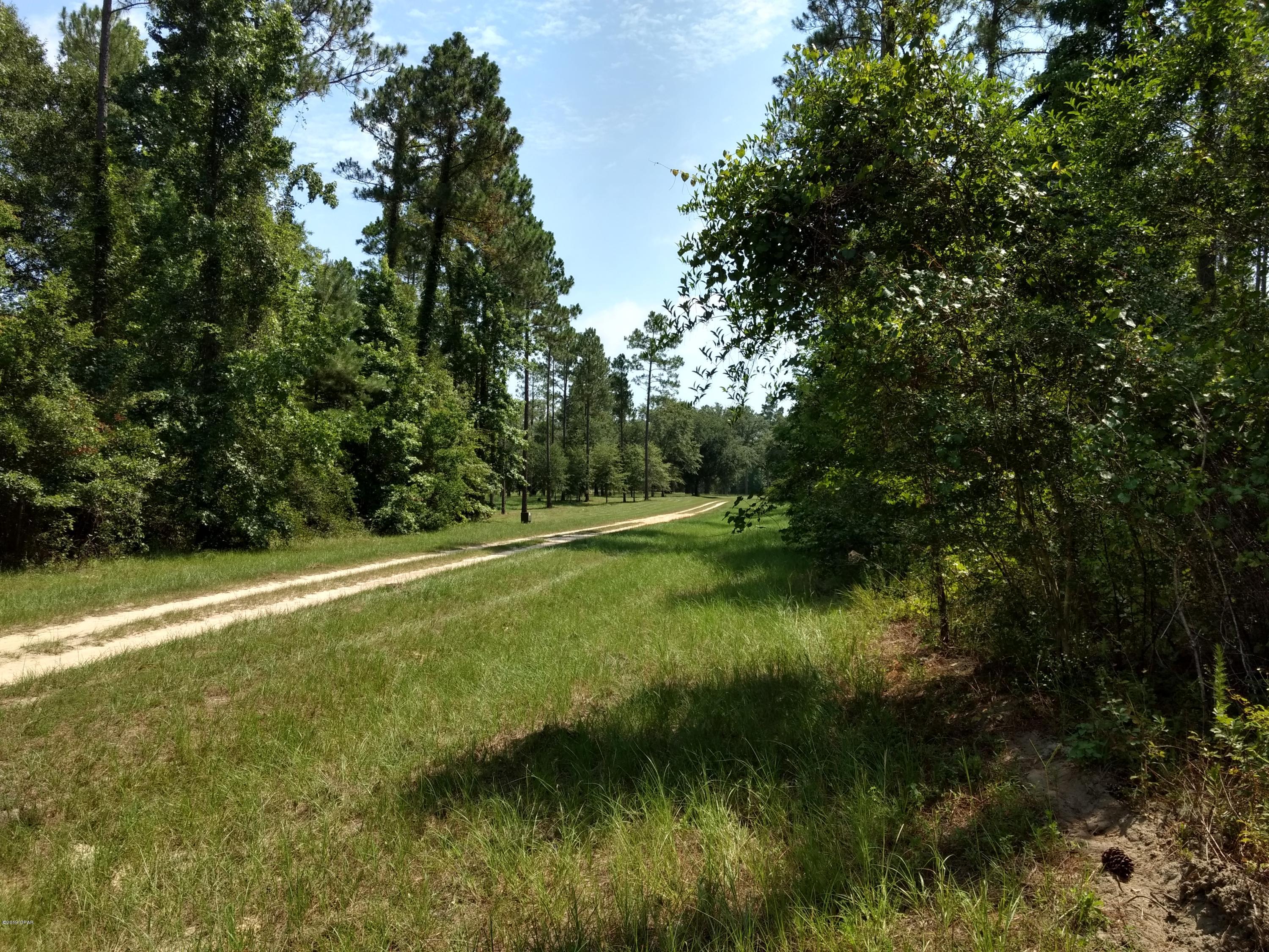 Canopy Crossing - Land