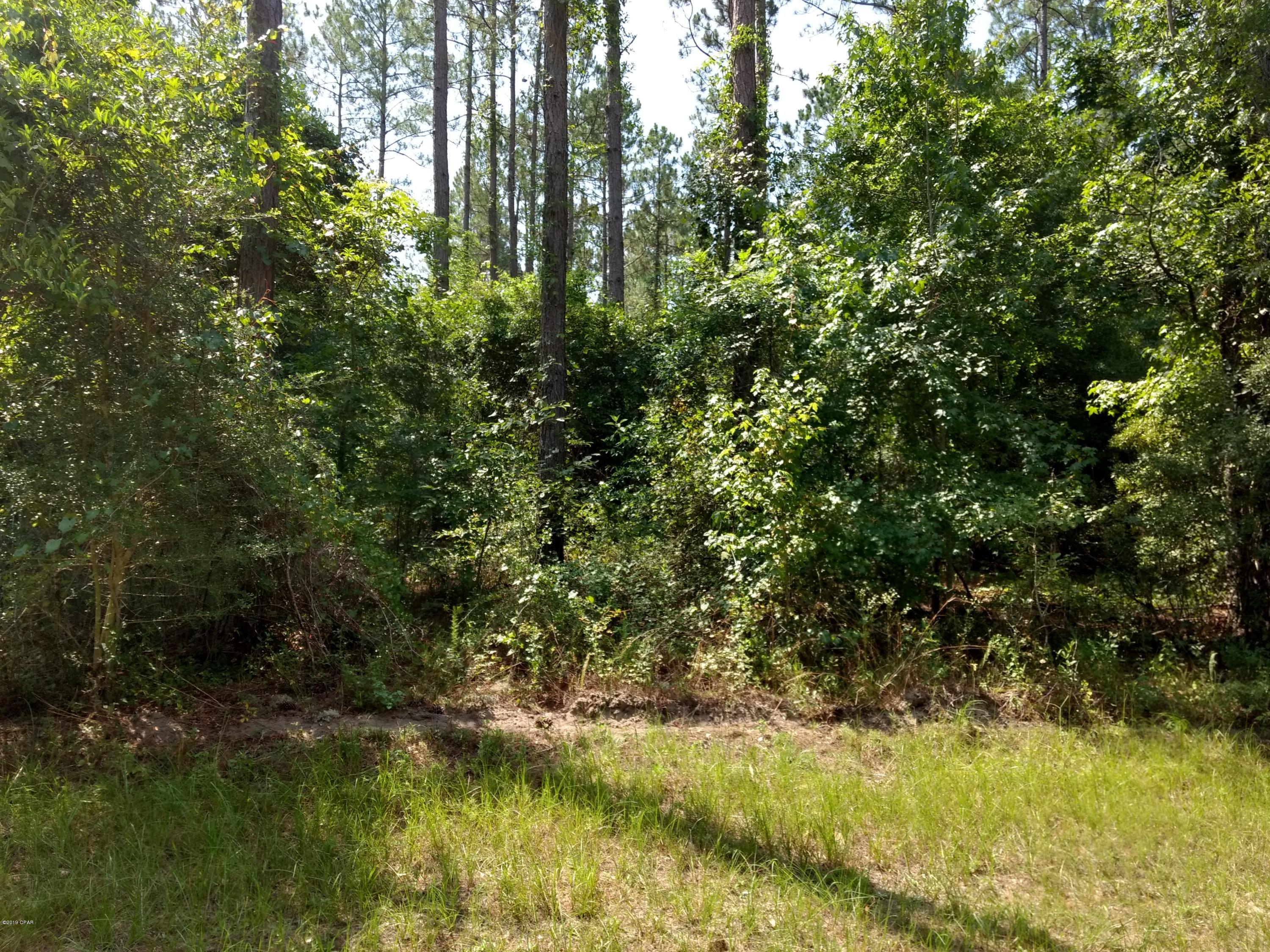 Canopy Crossing - Land