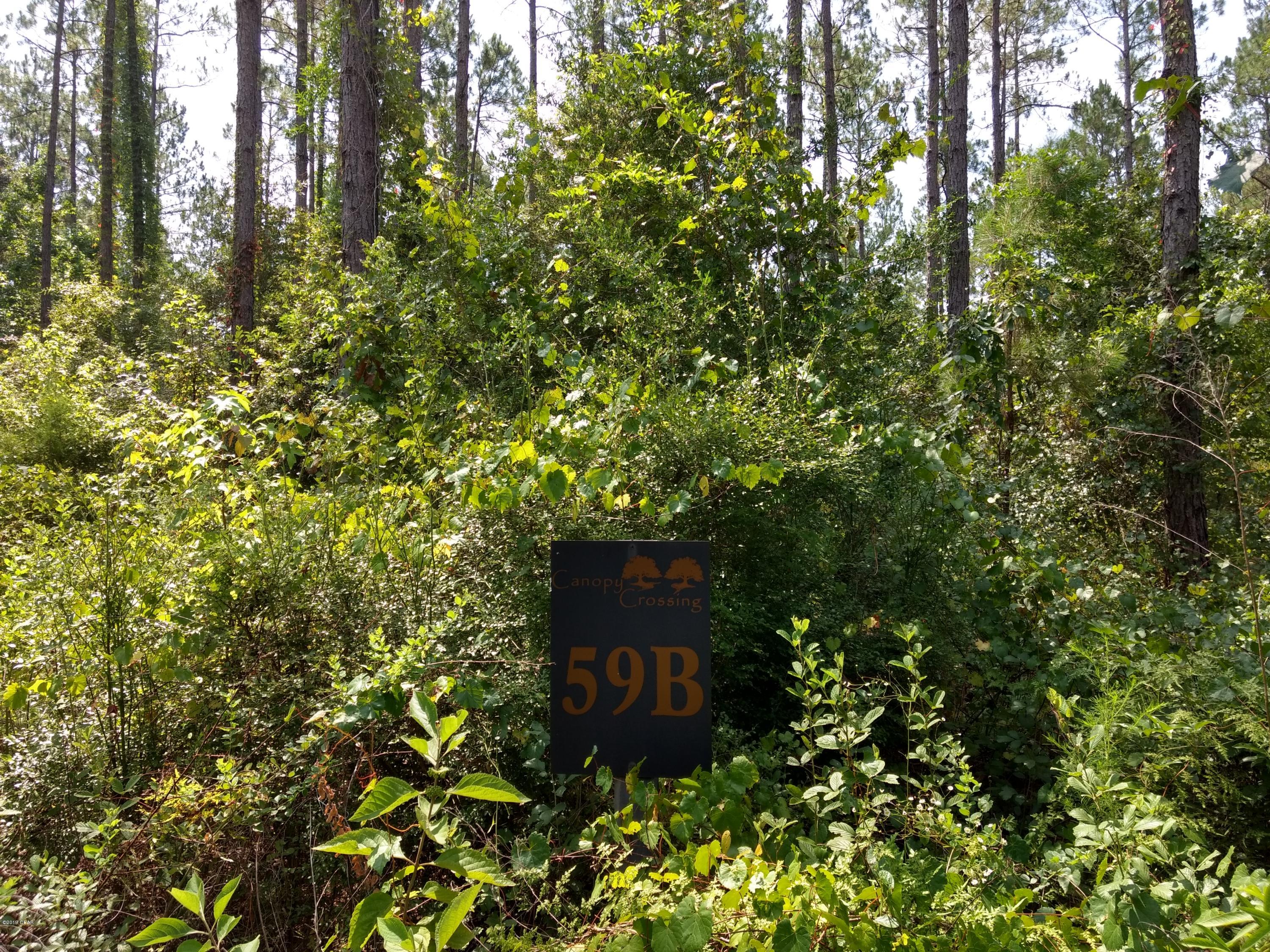 Canopy Crossing - Land