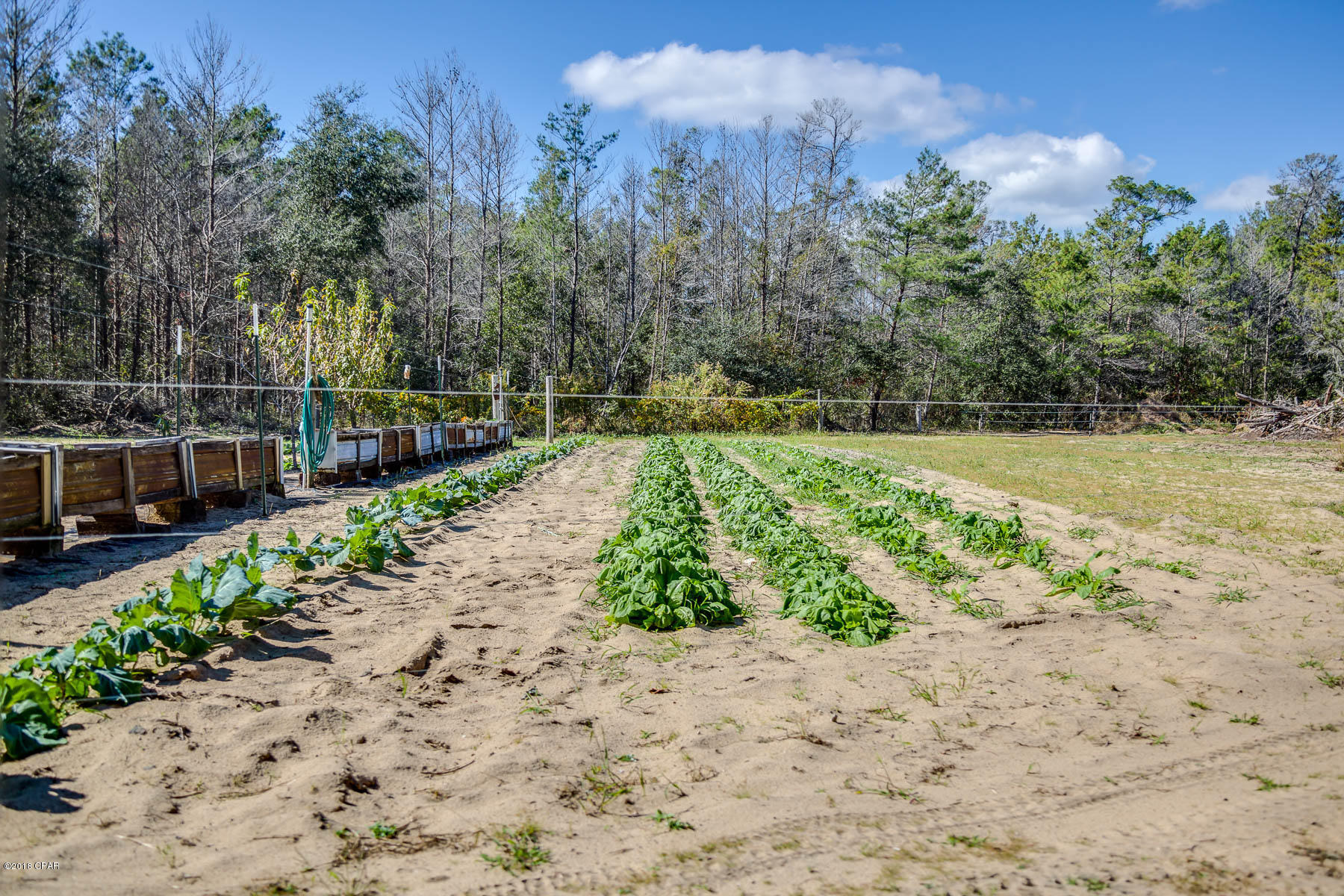 Little Island Pond - Residential