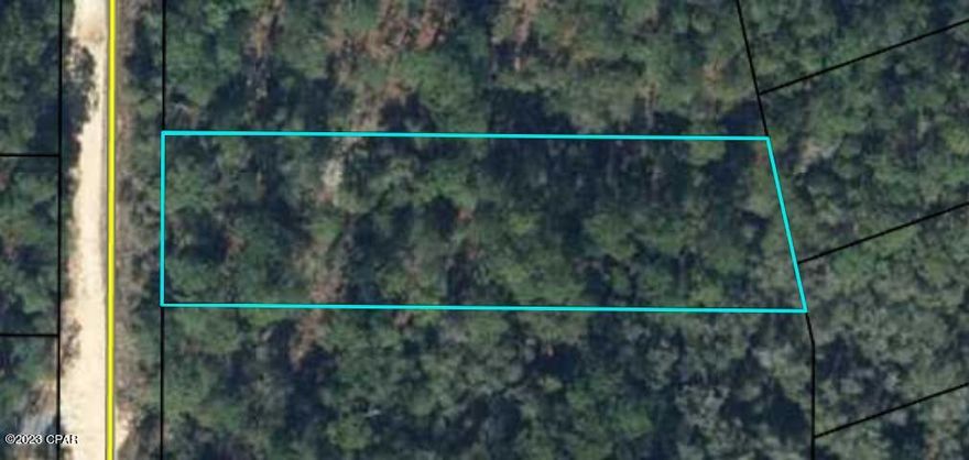 SELLER WILL CONSIDER ALL OFFERS! Beautiful Paradise Lakes is a desired gated community. Come place a MH or build your dream home on this large 0.83 acre lot very near Dunford Lake. Peaceful and private, yet easy access to Panama City, Panama City Beach, NWFL Beaches Int'l Airport (20 min.), Chipley and I-10, plus plenty of recreational springs nearby.. RIGHT NOW is a great time to get in because this area of NW Florida is growing. Call with questions or to go by and see it. LOOK FOR TURQUOISE ON THE TREE! And the property is diagonal across the road from 4089 Dunford Circle. SEE LAST PHOTO FOR BOAT RAMP LOCATION.