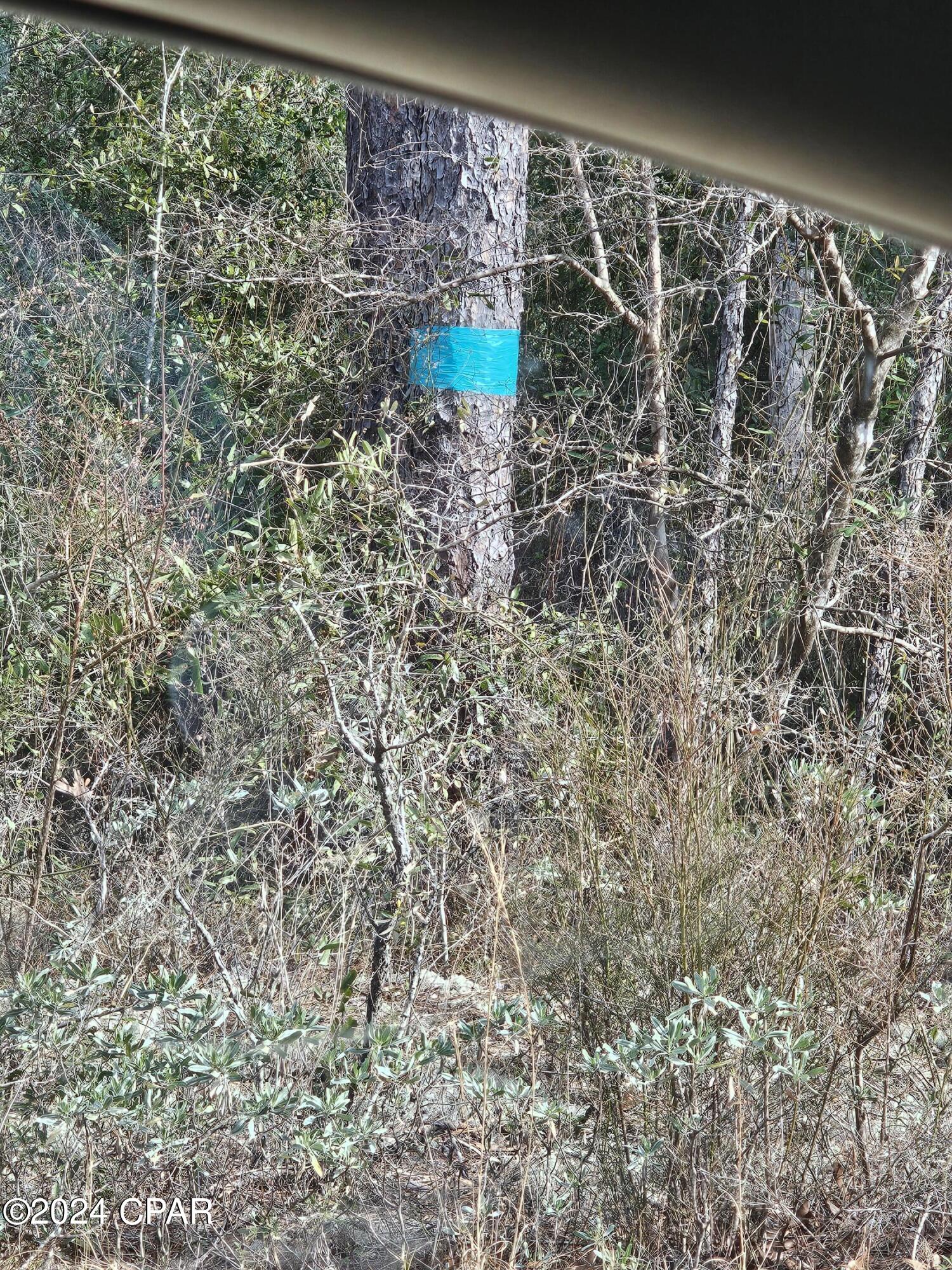 Paradise Lakes - Land