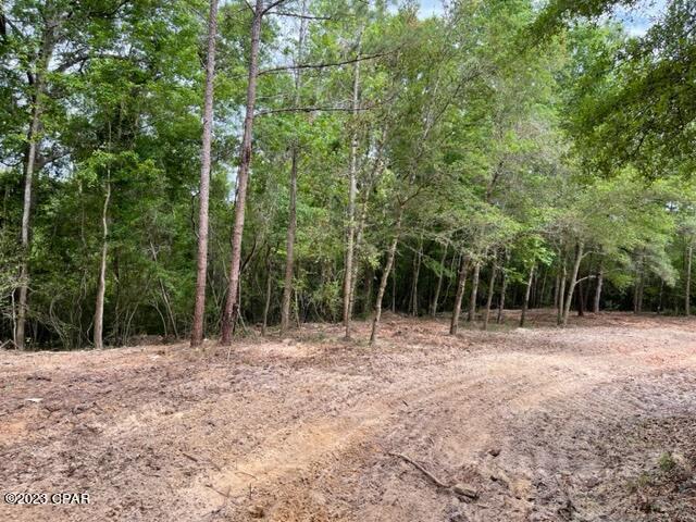 [No Recorded Subdiv] - Land