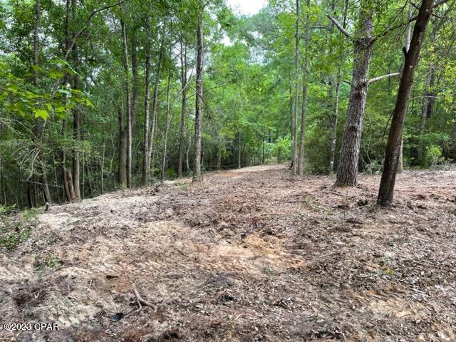 [No Recorded Subdiv] - Land