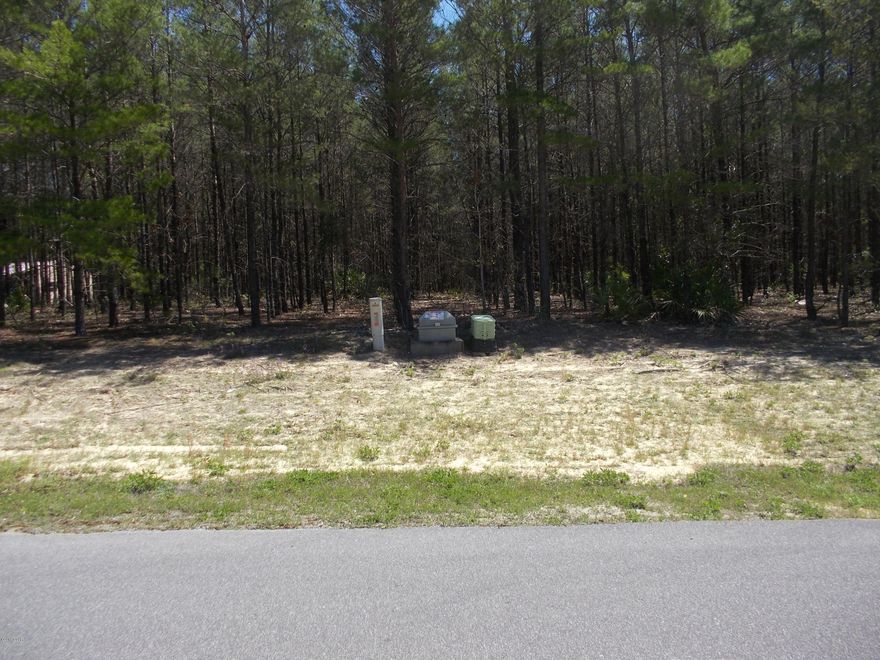 Incredible building lot. on .8 acres zoned Single Family Residential, Stick built, Manufactured or mobile.Least expensive lot in Pinebrook subdivision. On paved roads. very clean and mature subdivision. Minutes to Lynn Haven.