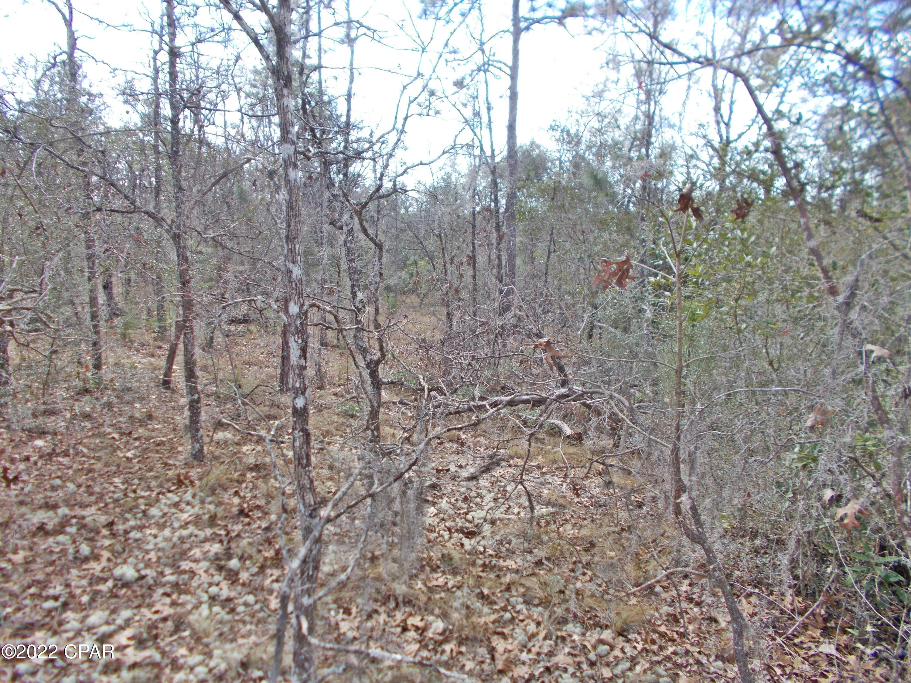 Compass Lake Hills Unit 3 - Land