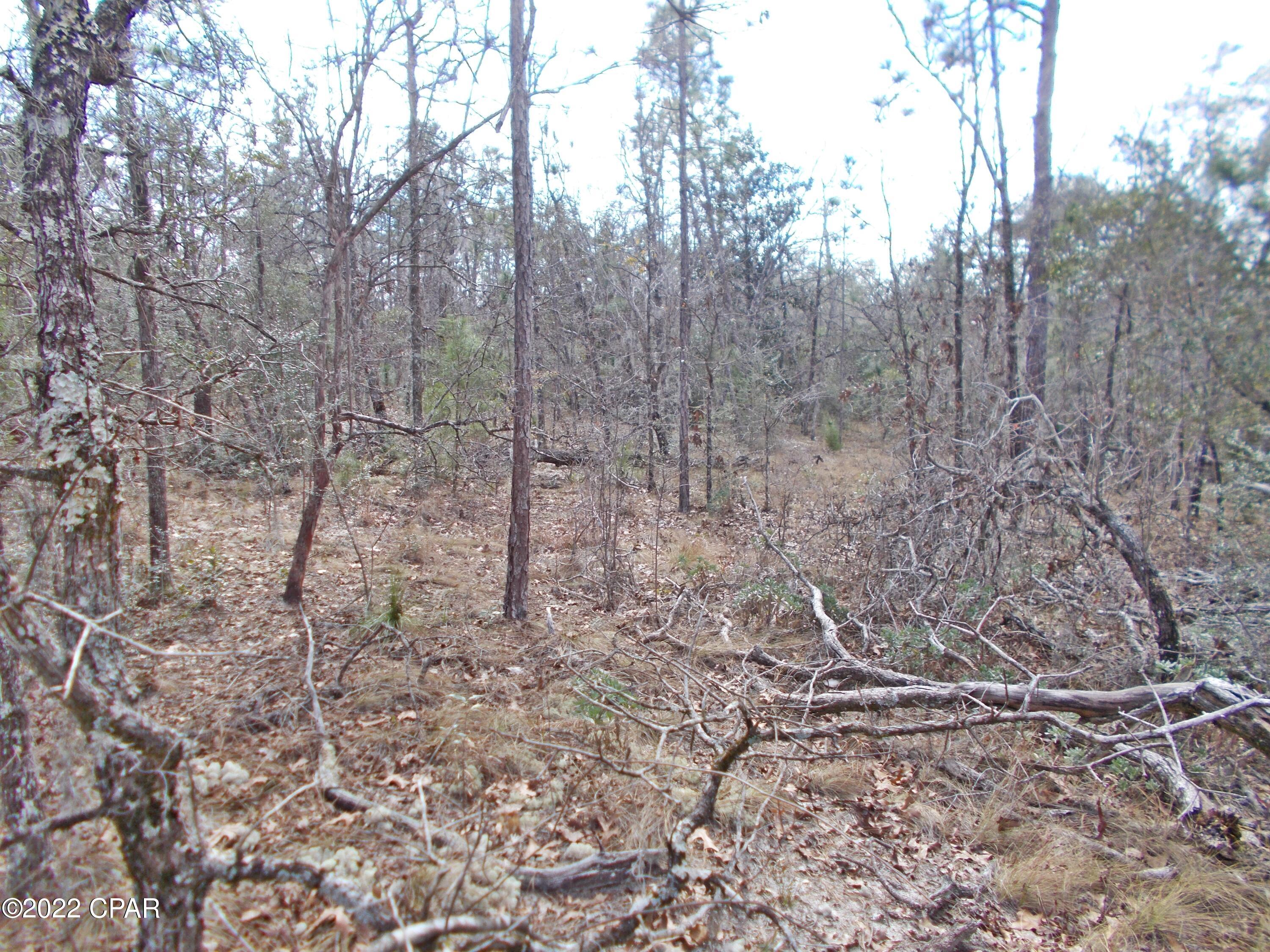 Compass Lake Hills Unit 3 - Land