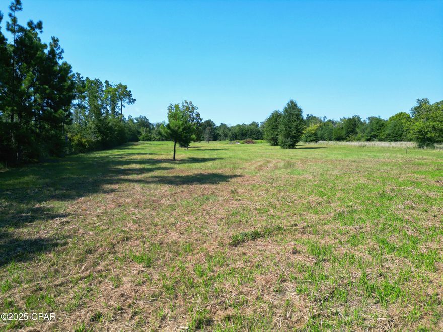 CURRENTLY UNDER CONTRACT, SELLER ACCEPTING BACKUP OFFERS

TBD County Road 274, Altha, FL - Calhoun County

Looking for the perfect mix of country living and easy access to the coast and city? This 3.49-acre property with a pond offers just that. Picture yourself enjoying mornings by the water, fishing under the shade of tall trees, or simply relaxing with the sounds of nature right in your backyard.

With plenty of cleared space, this land is ready for your vision, whether you want to place a mobile home, build a custom home, or create a weekend retreat. The pond is not just scenic, but also a unique feature that adds character and enjoyment to the property. There's room for a garden, outdoor hobbies, or simply wide-open space to enjoy.

Conveniently located, approximately one hour from Panama City and Panama City Beach, and about an hour and fifteen minutes to Dothan, Alabama, you'll have the best of both worlds, country life with city and beach access close by.

Schedule your showing today and start planning how you'll make this property your own!