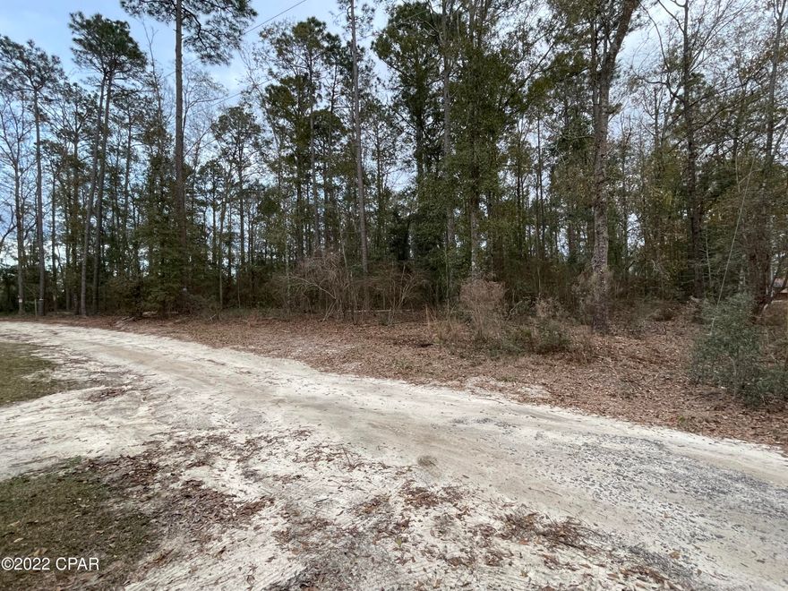 Private, wooded homesite in the beautiful Nearing Hills subdivision.  This two acre parcel would be the perfect spot for your forever home.