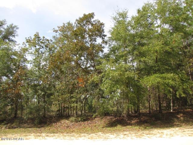 Compass Lake In The Hills - Land