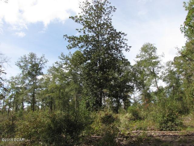 Compass Lake In The Hills - Land