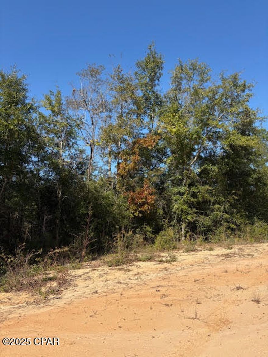 Over 1 acre of wooded residential land located in the growing Compass Lake in the Hills community (Unit 5). Just a short drive to Compass Lake—perfect for boating, swimming, and fishing on the approx. 10,000-acre lake. The optional property owners' association offers a variety of amenities for members to enjoy. Mobile homes are now permitted in this deed-restricted subdivision.
Conveniently located minutes from Hwy 231, offering easy access south to Panama City, beautiful Gulf Coast beaches, and NW Florida Beaches International Airport, or north to I-10 connecting you to major cities and shopping. This area offers privacy with no close neighbors, and this lot adjoins over 100 acres of Compass Lake POA land filled with woods and wildlife—great for those who appreciate nature or enjoy hunting. If you're seeking peaceful natural surroundings or a hunting spot or to live full time at an affordable land price, don't miss this opportunity.