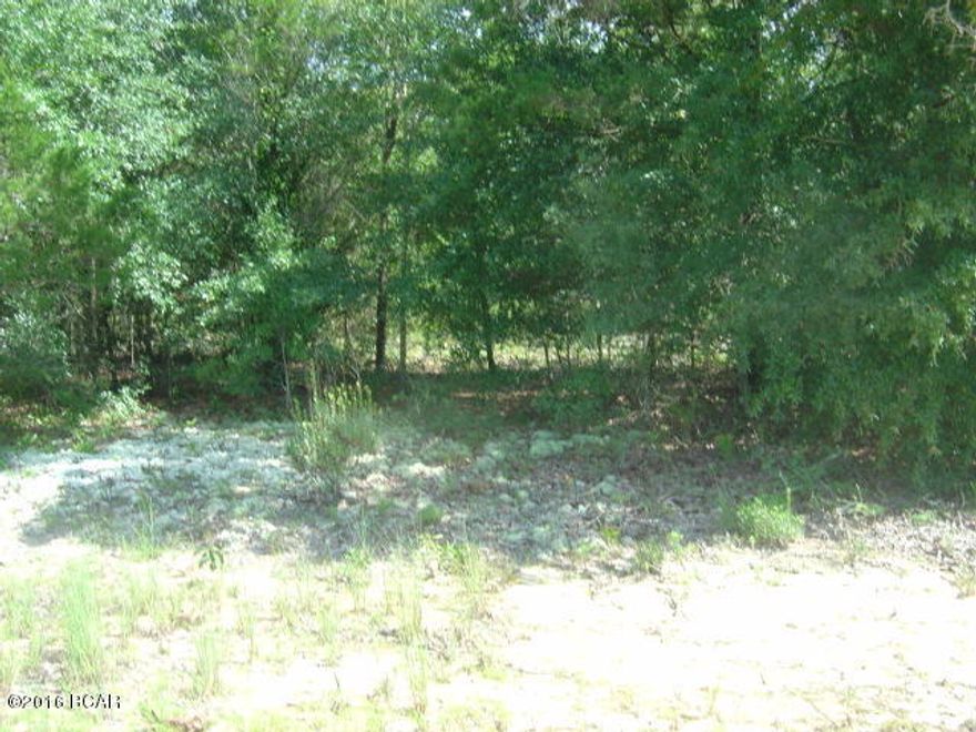 Beautiful residential lot in Compass Lake in the Hills with all the amenities with a beach area, swimming pool, tennis cts and many   additional benefits.