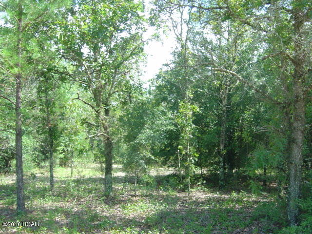 Compass Lake Hills Unit 2 - Land