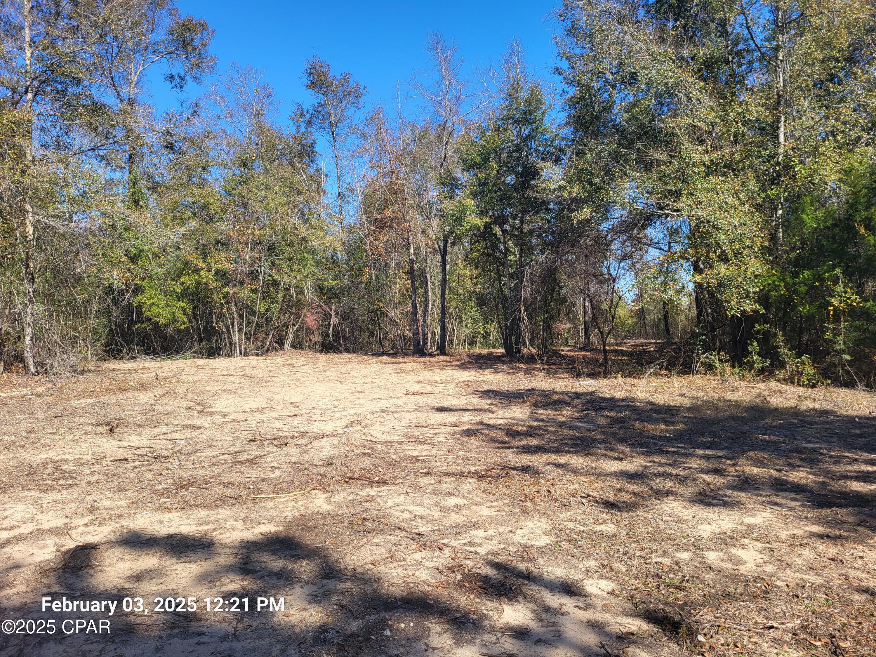 White Pond Plantation - Land