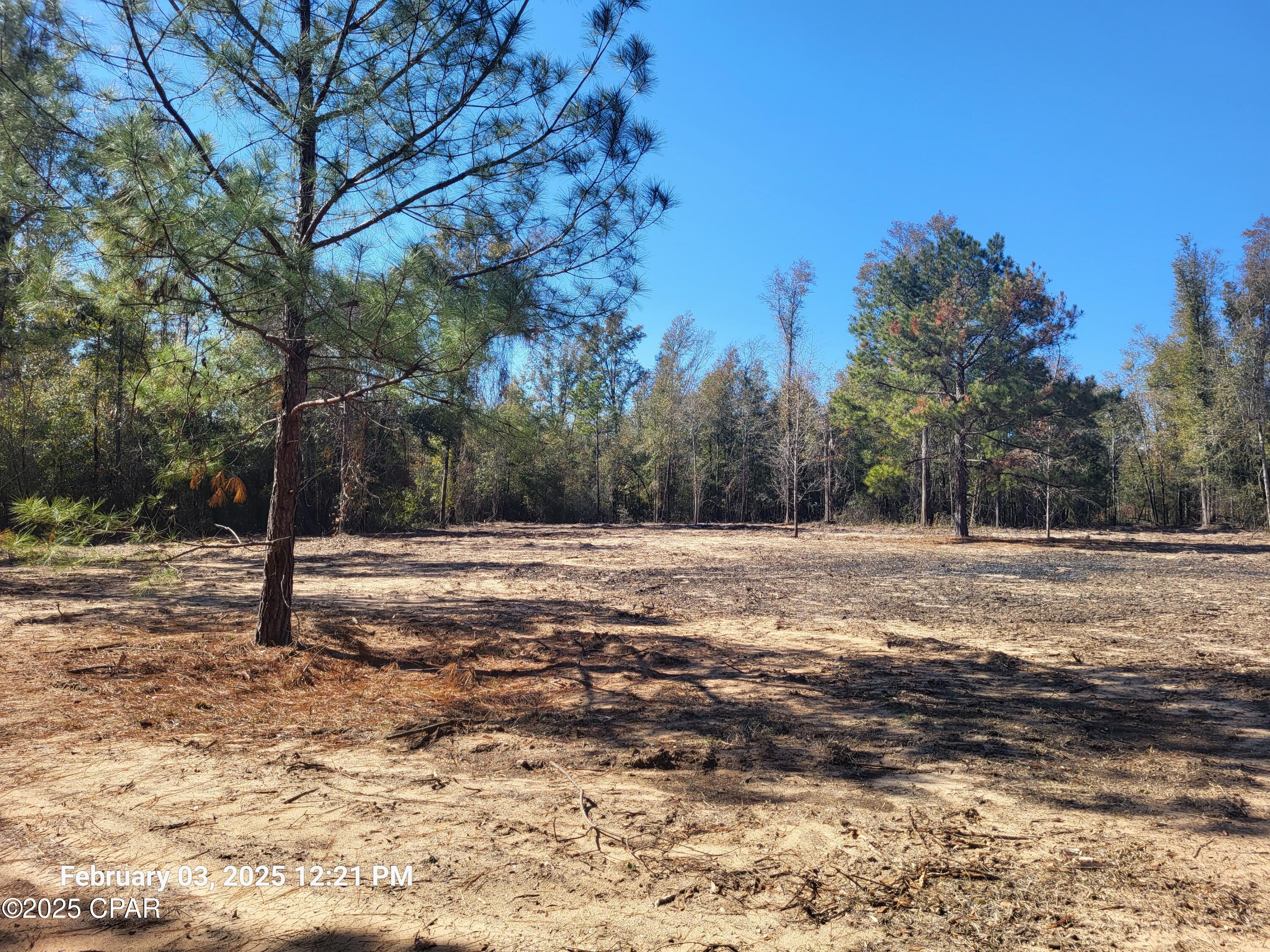 White Pond Plantation - Land
