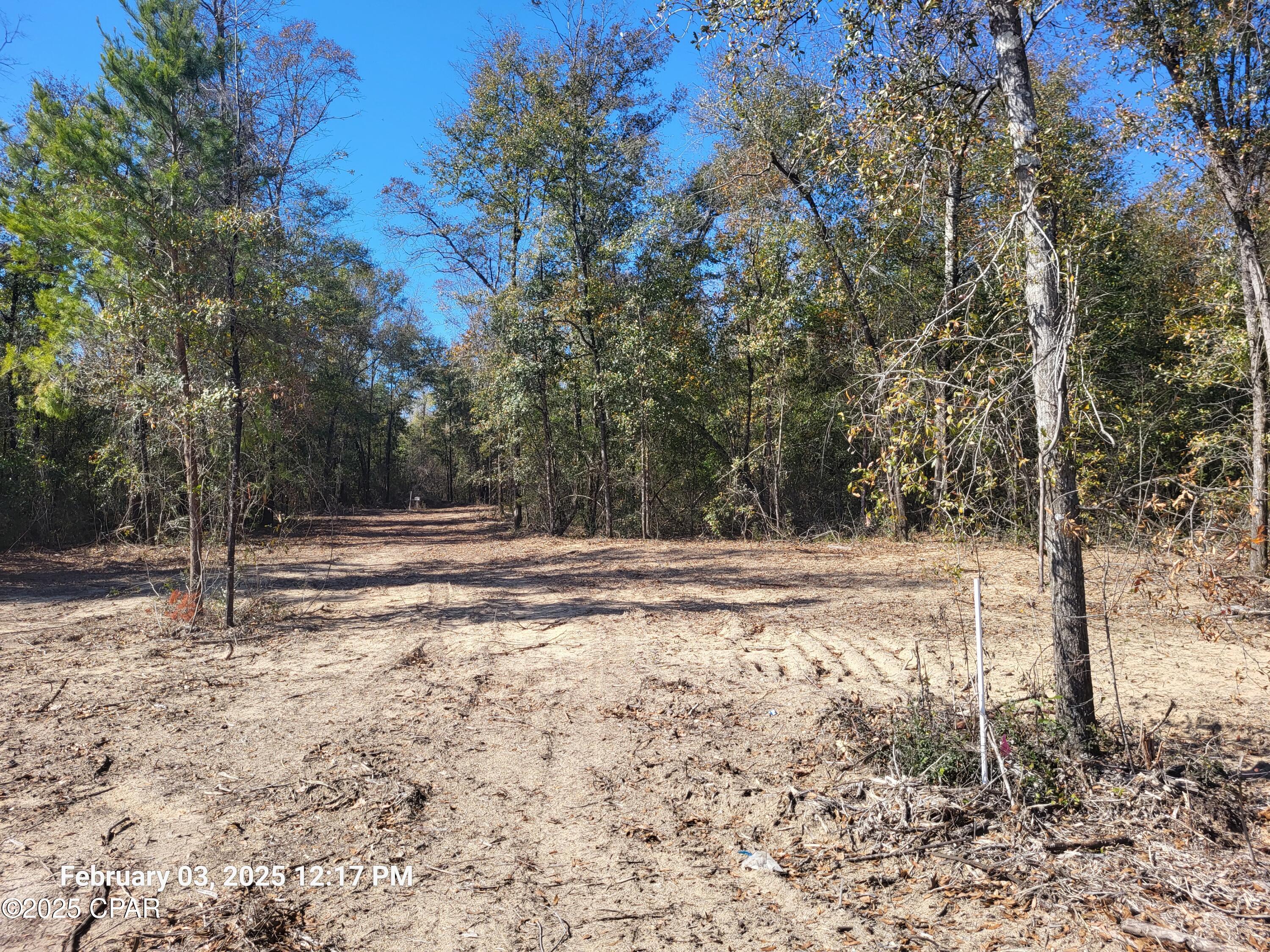 White Pond Plantation - Land