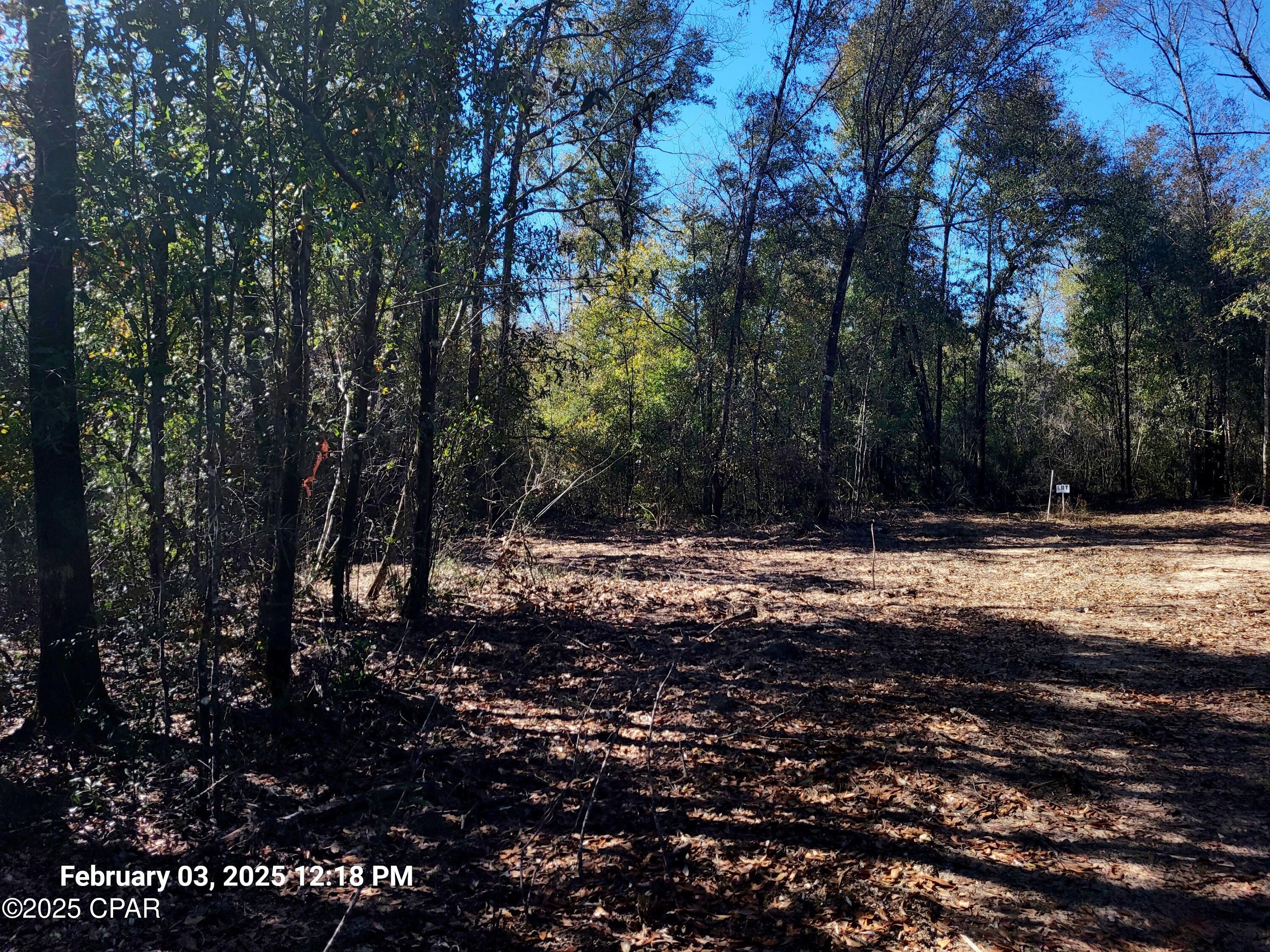 White Pond Plantation - Land