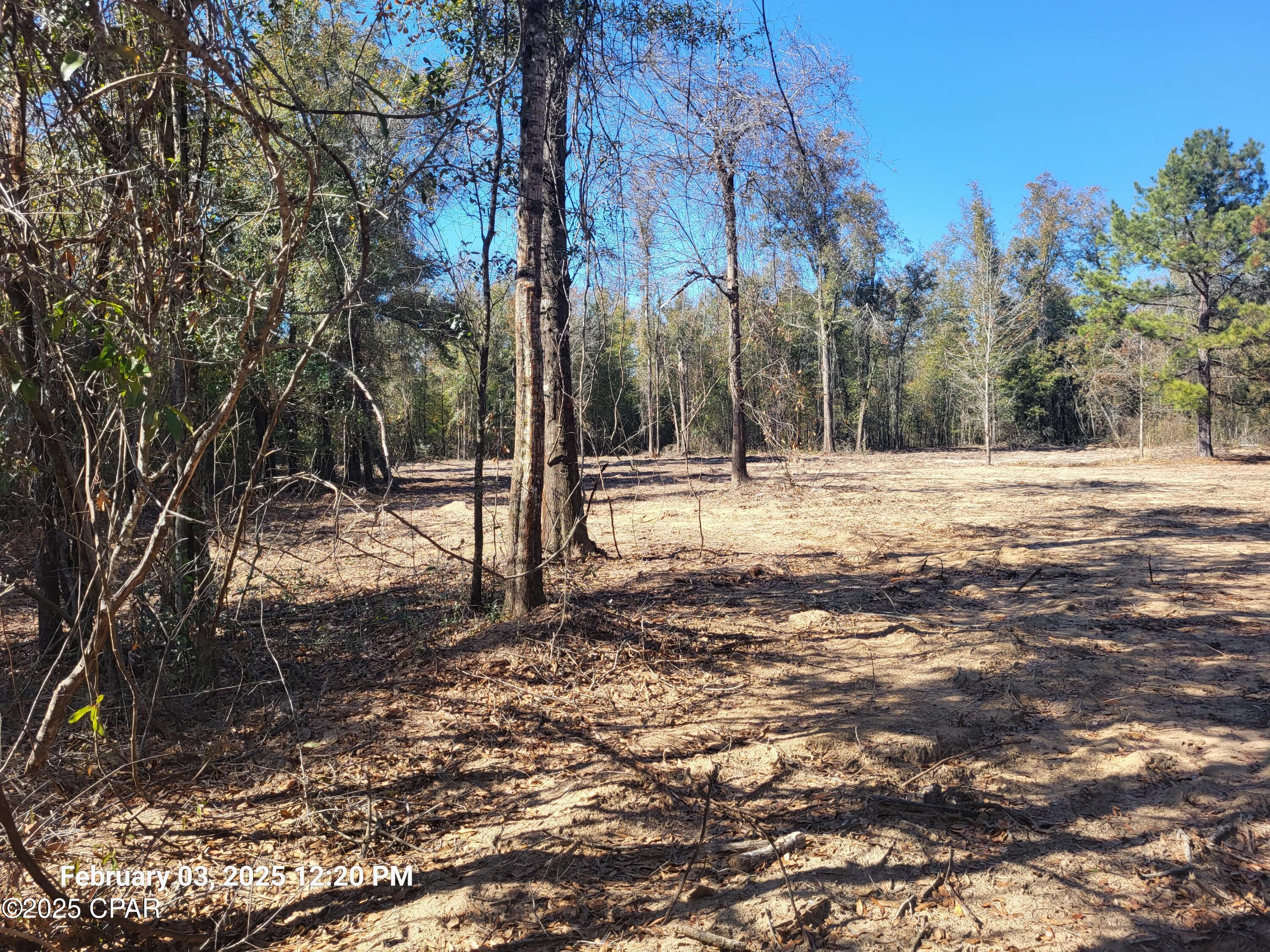 White Pond Plantation - Land