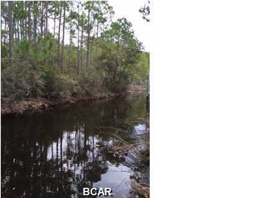 LARGE CANALFRONT LOT. Great location, centrally located and NO ASSOCIATION FEES. Great area to build your dream home. If you like the water and enjoy water sports, the canal leads right into the bay. Owners have some canoe's, potted plants and misc. items on lot that will be moved.
