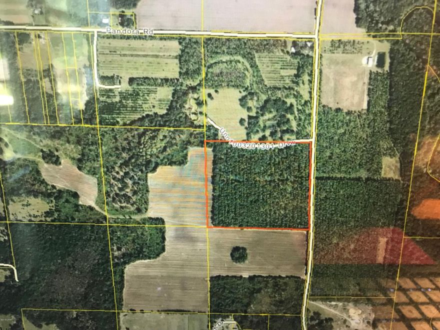 Check out this 39 acres!! Just a couple of miles from I10 and Walmart in Marianna. Close to Chipola River. The overhead pictures indicate there is timber on the property, however the land has been cleared and root raked. It is ready for planting!!