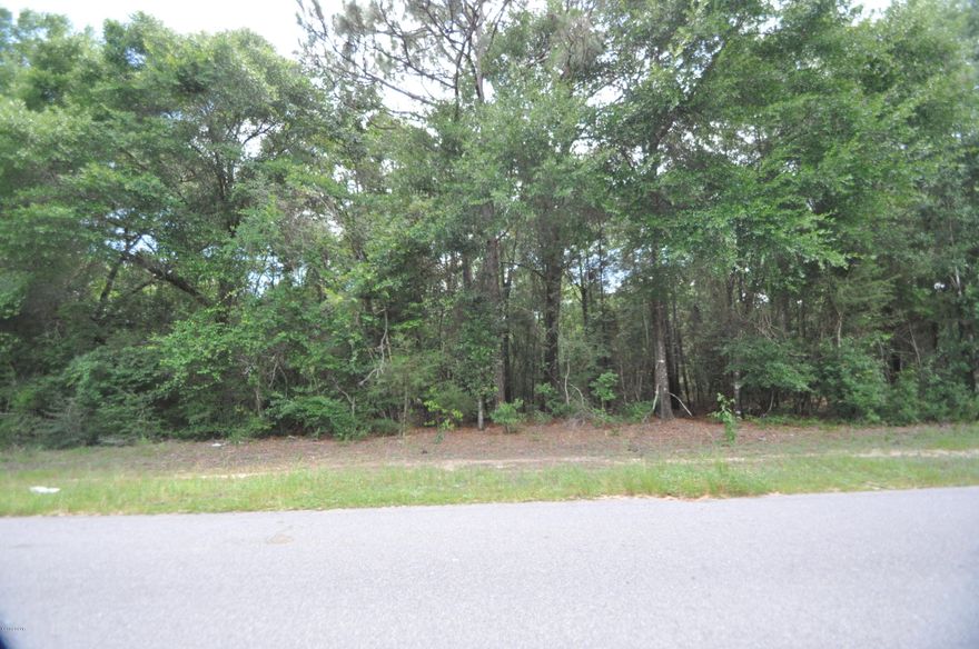 Huge 44 acre parcel just off Wilkerson Bluff RD. This is great for a huge hunting reserve, break it up and build your own subdivision, or just build your dream home add a pond and enjoy the wildlife. This parcel combined with 05-2N-24-0000-0002-017A is the presented property for sale. A total of 1500 ft road front on this property.