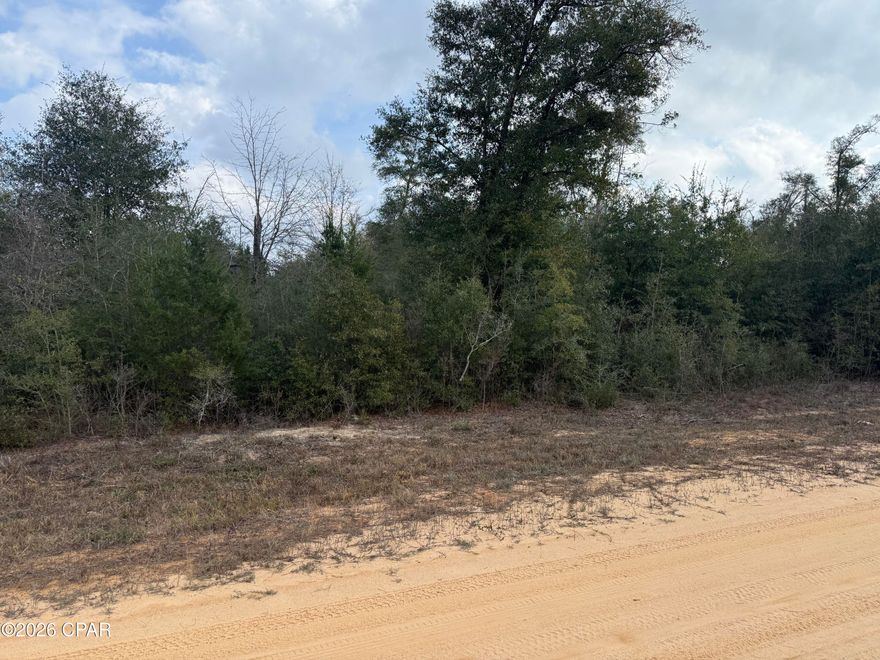 Nice lot is Compass Lake in the Hills. Not far off 231 and close to the lake and lodge. Manufactured Homes are allowed. Drive by and see the area. NO HOA or HOA fee's.  There is a Property Owners Association, but there is no requirement to join. This area is growing and lots are affordable for now.