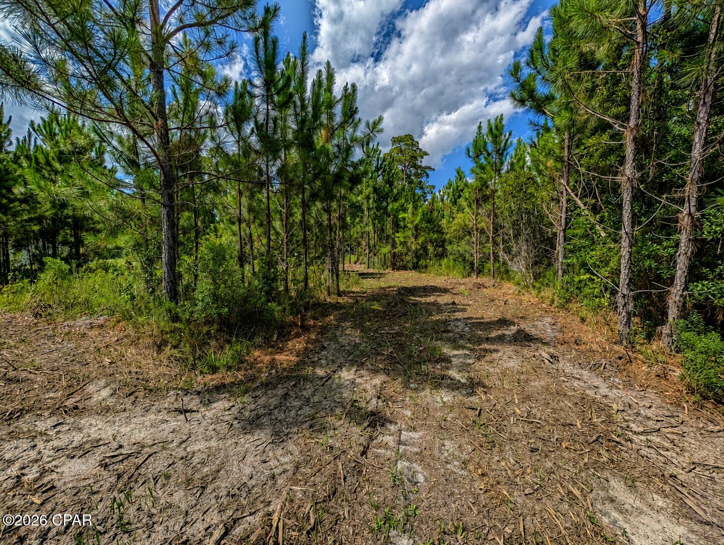 18500 Us Highway 331